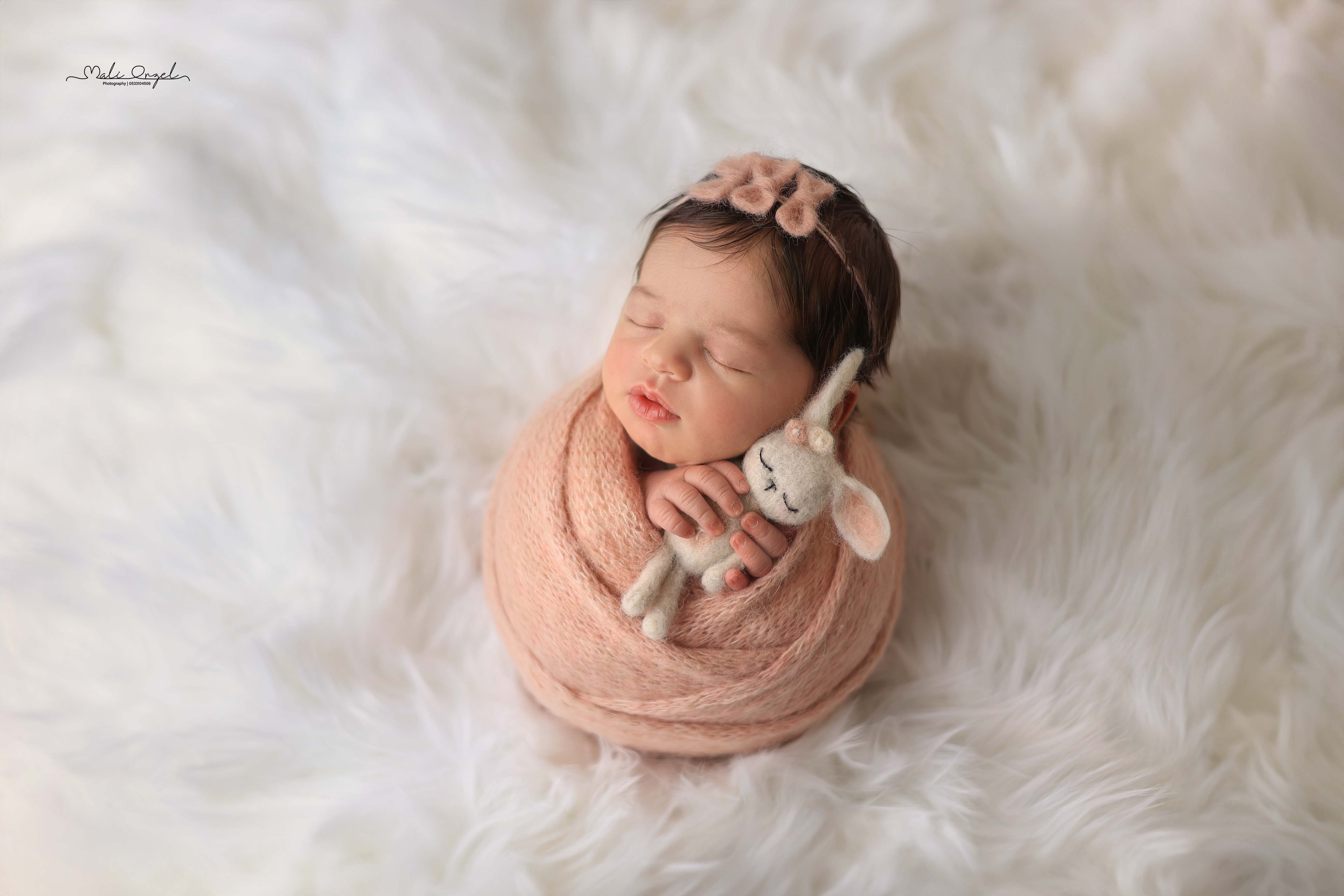 צילום מלי 0533104506