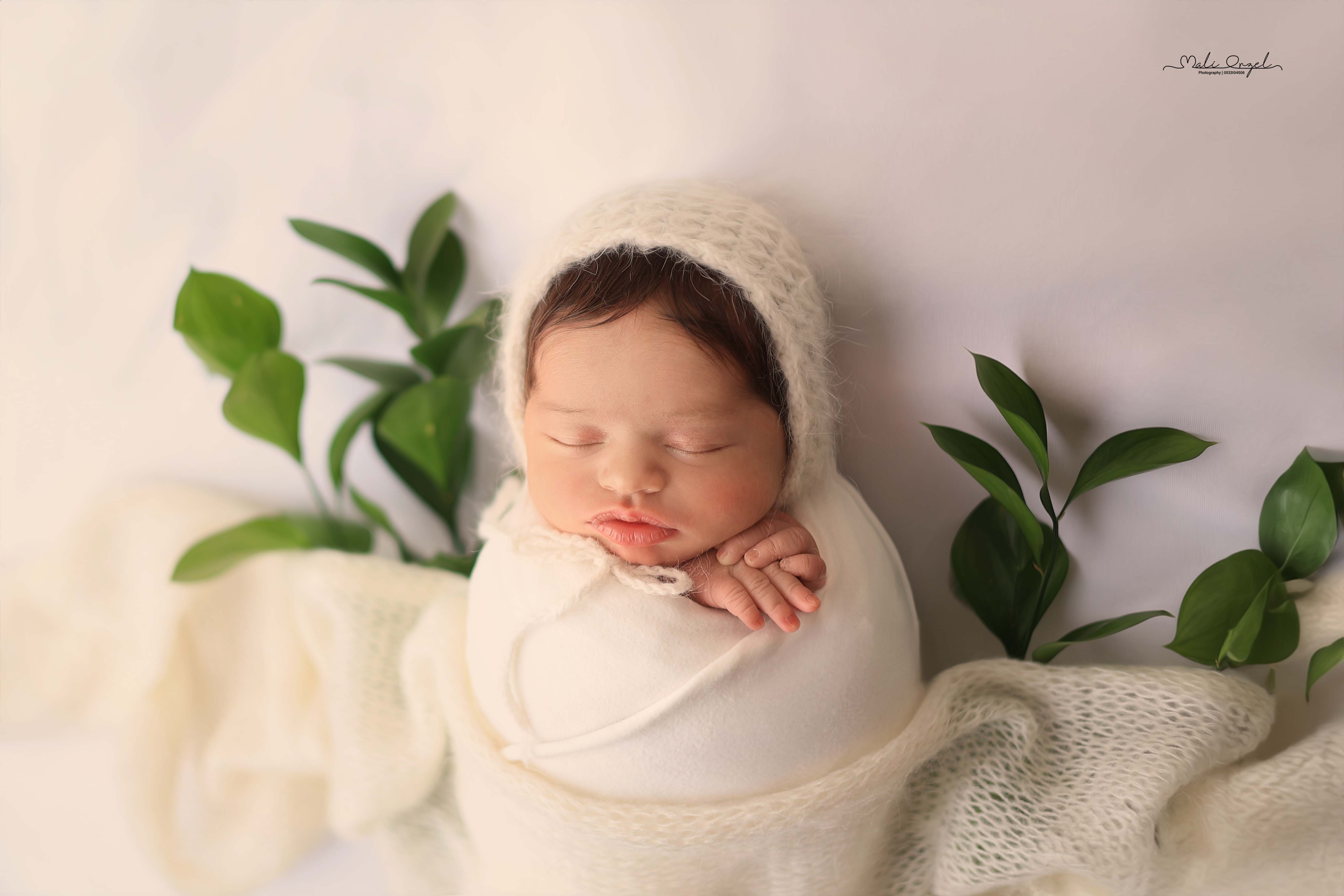 צילום מלי 0533104506