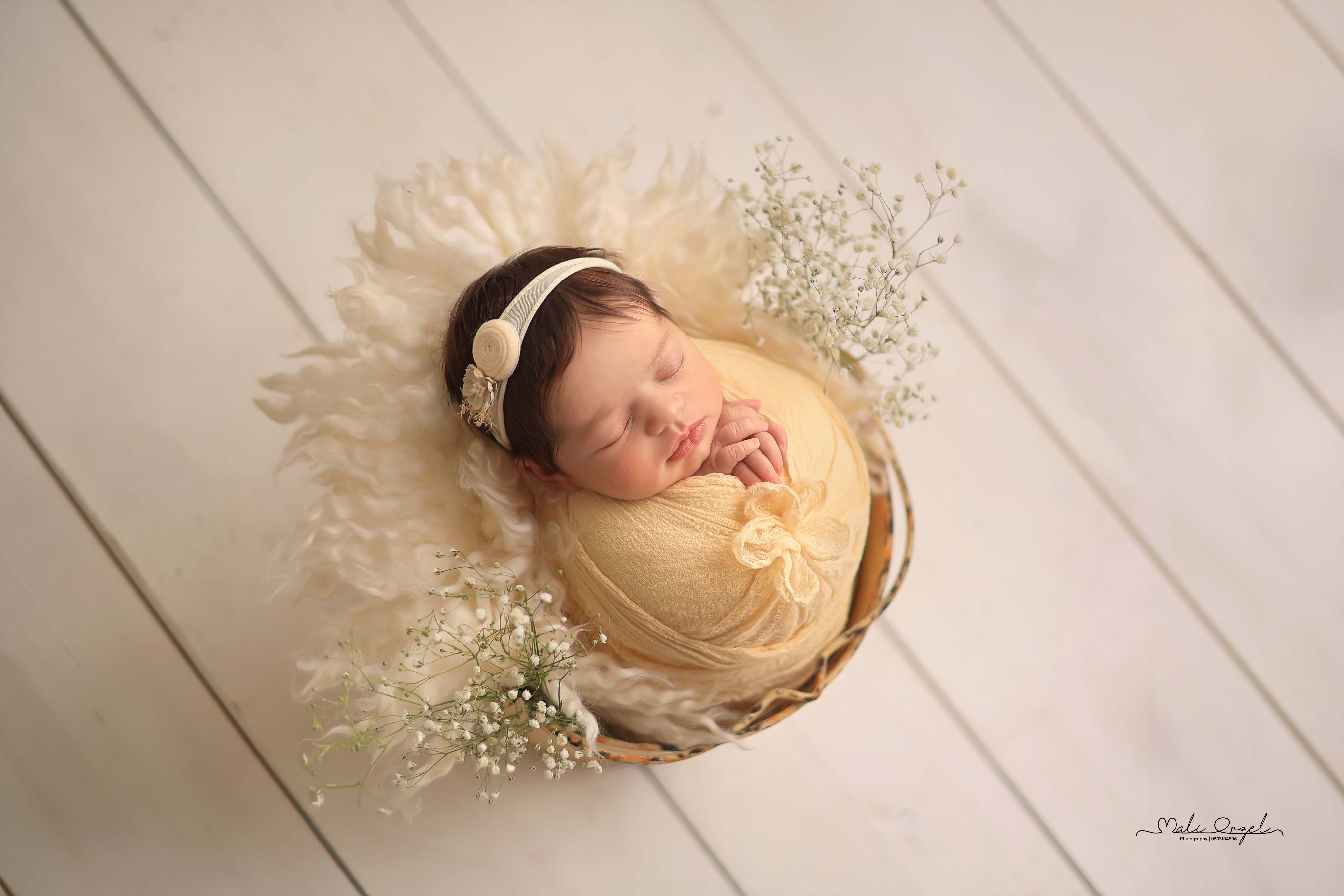 צילום מלי 0533104506