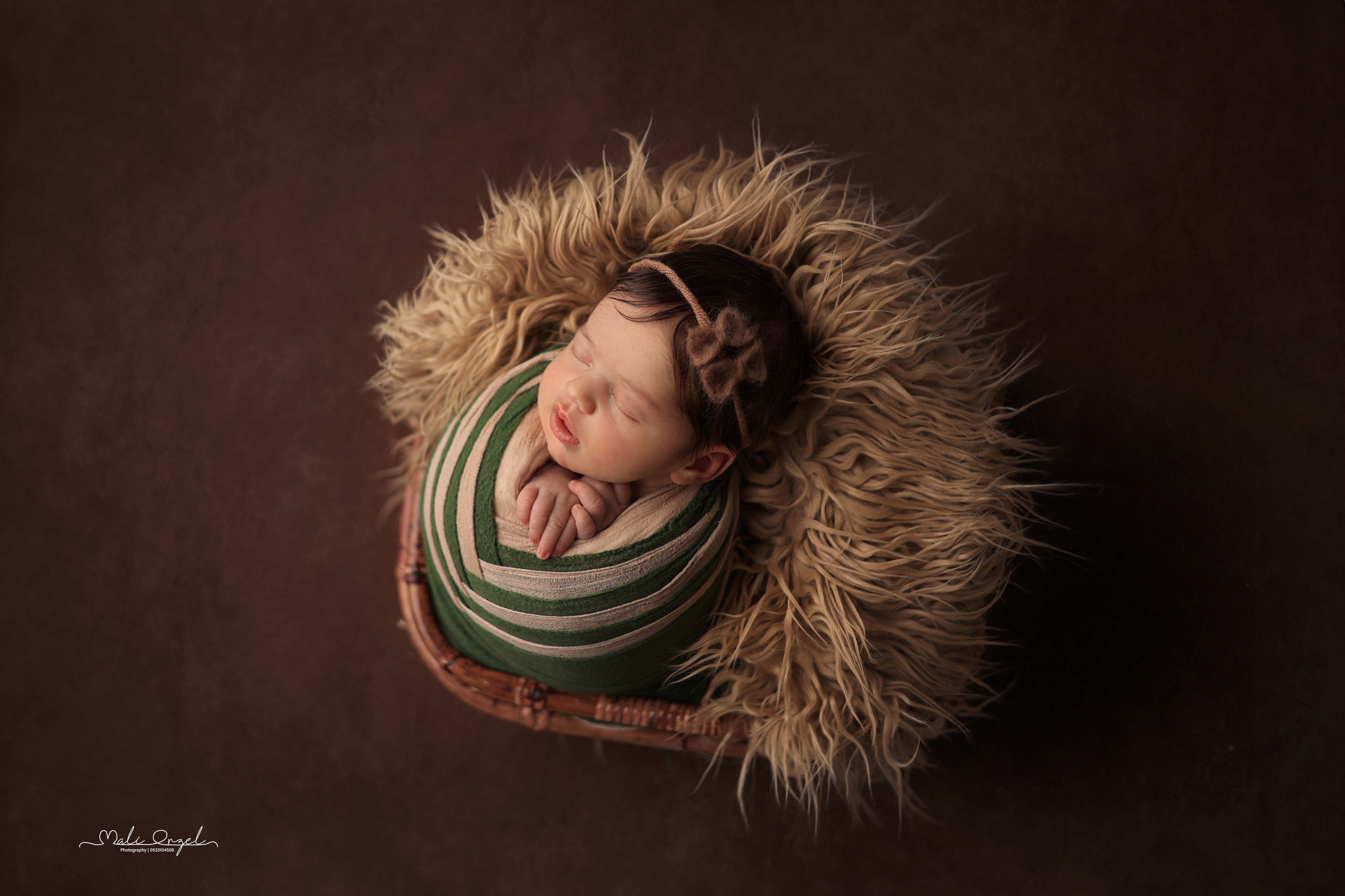 צילום מלי 0533104506