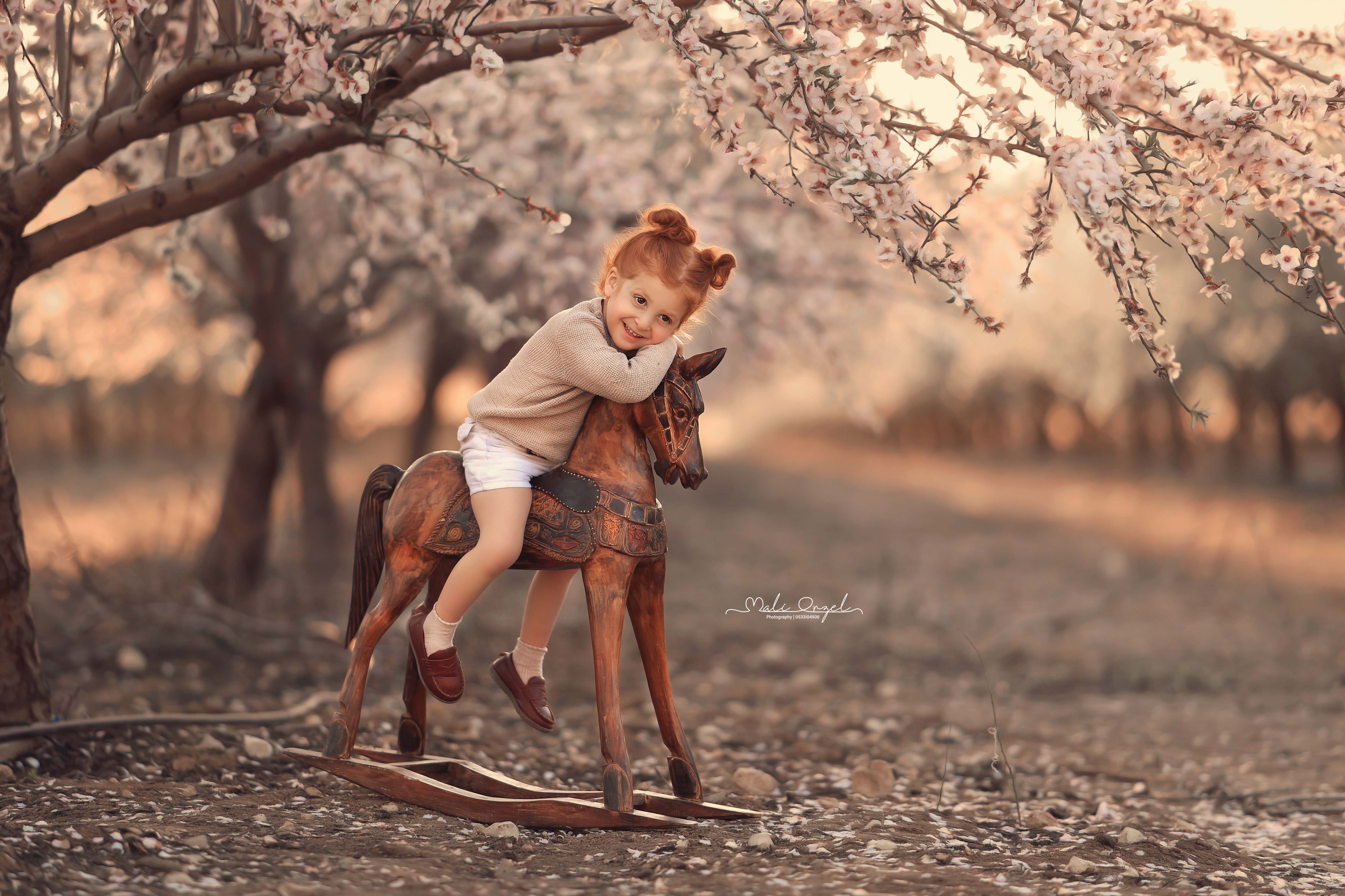 צילום מלי 0533104506