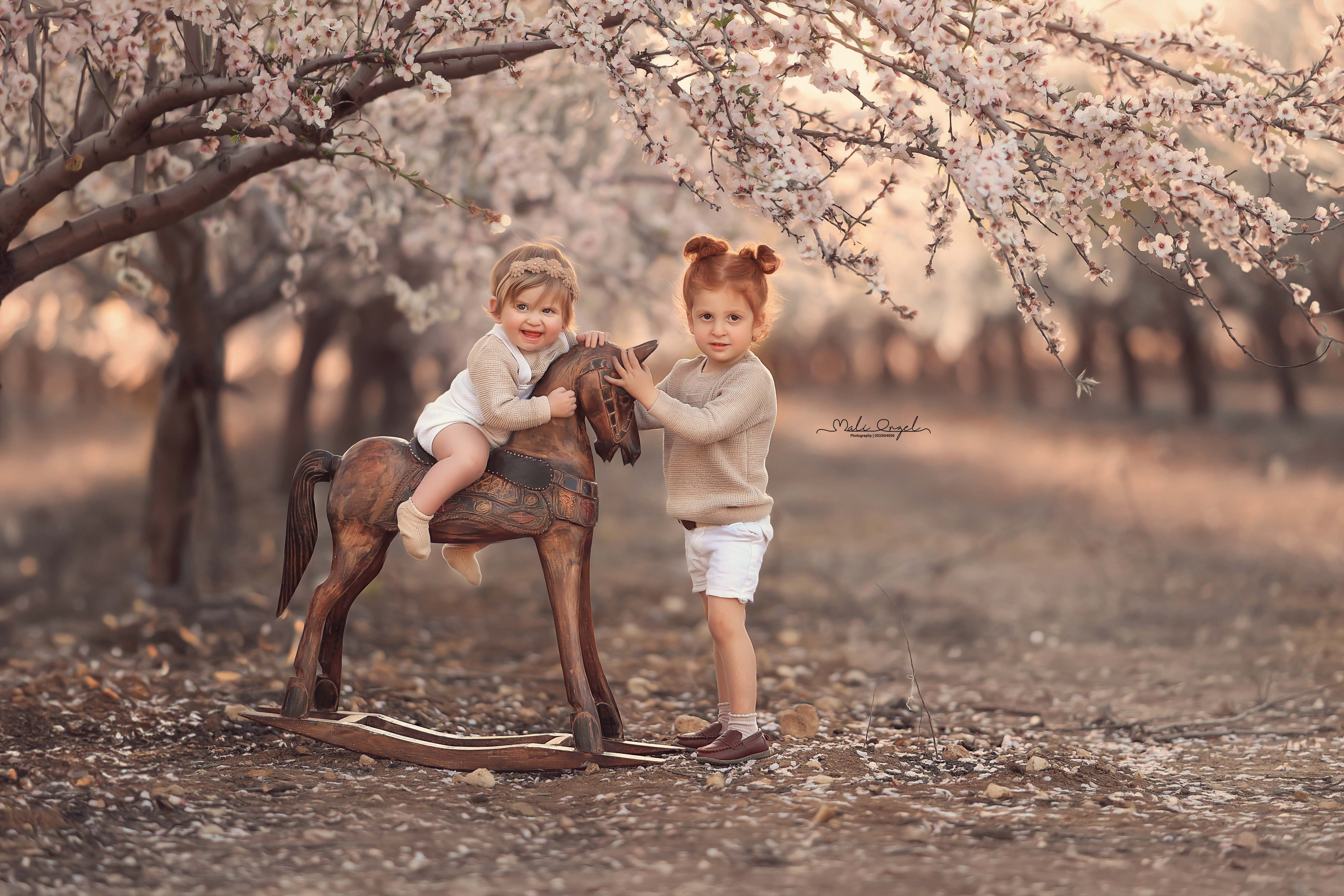 צילום מלי 0533104506