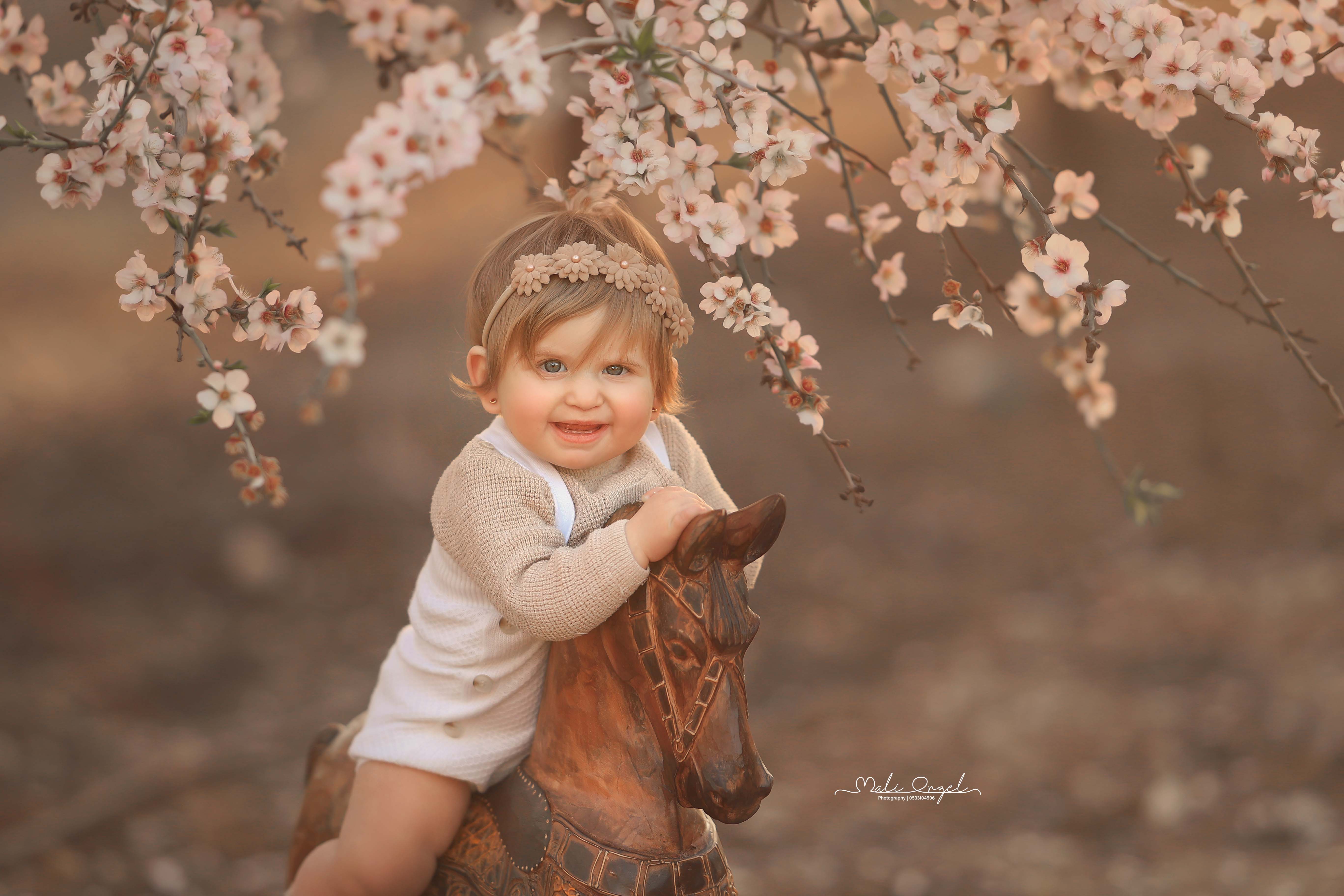 צילום מלי 0533104506