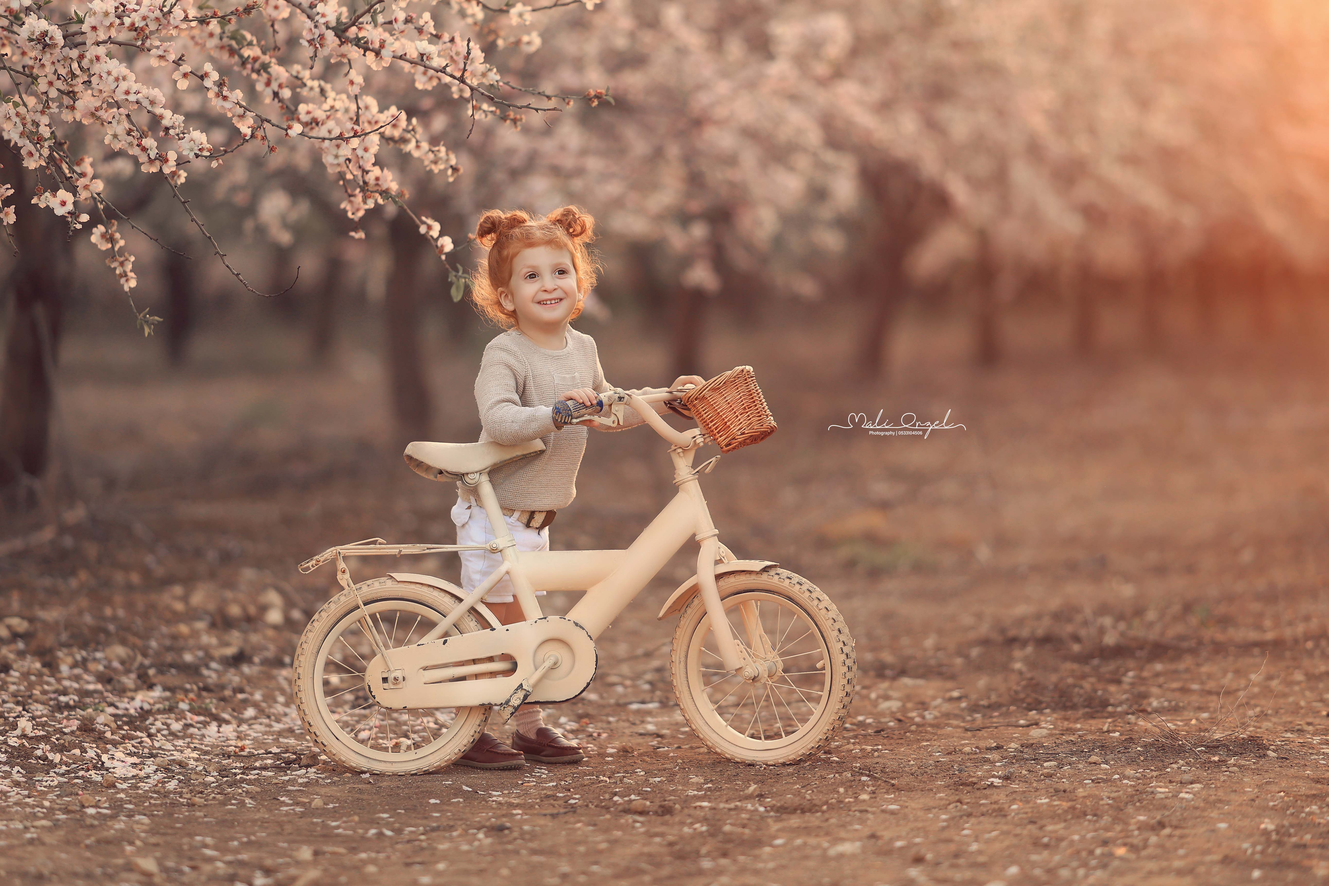 צילום מלי 0533104506