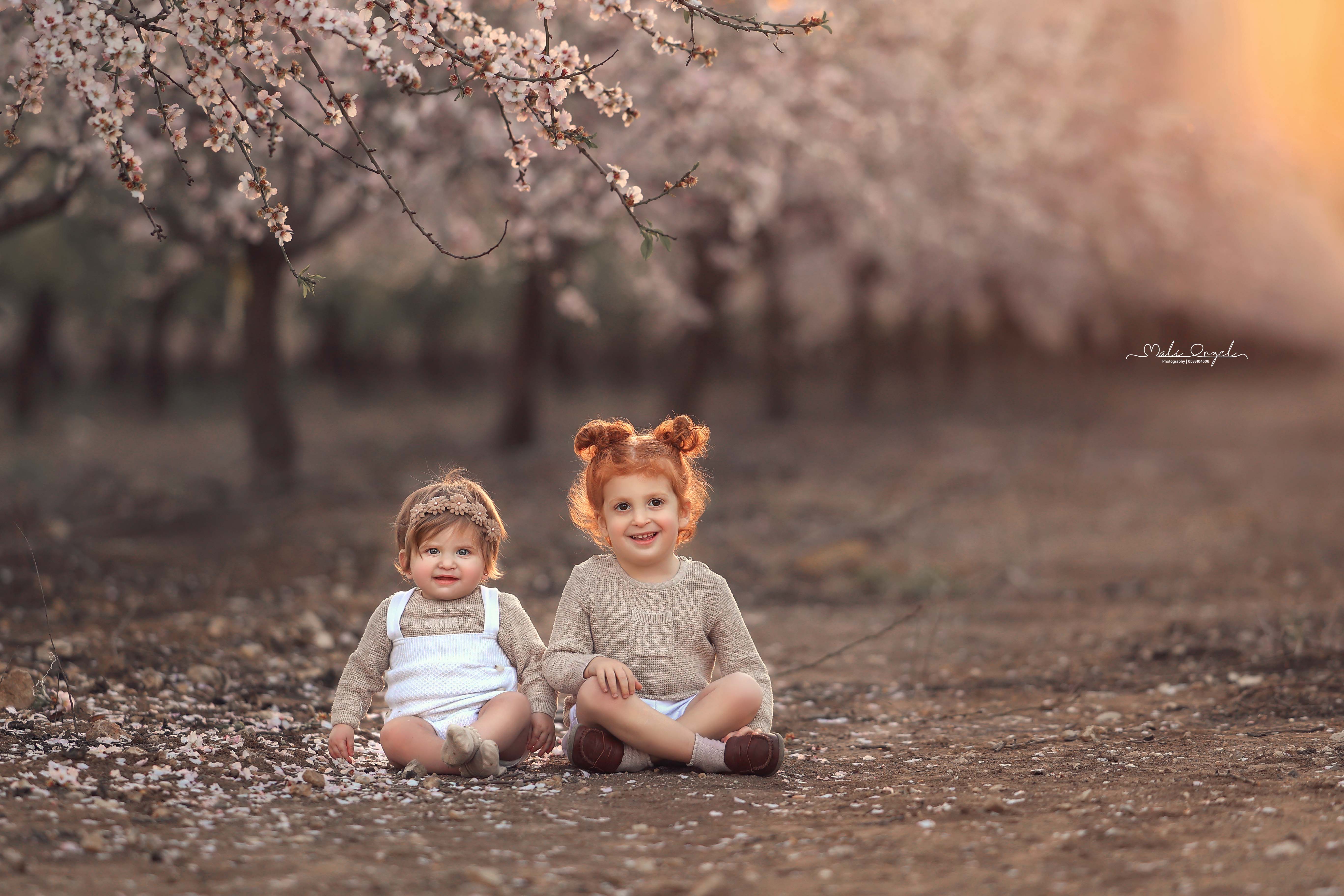 צילום מלי 0533104506