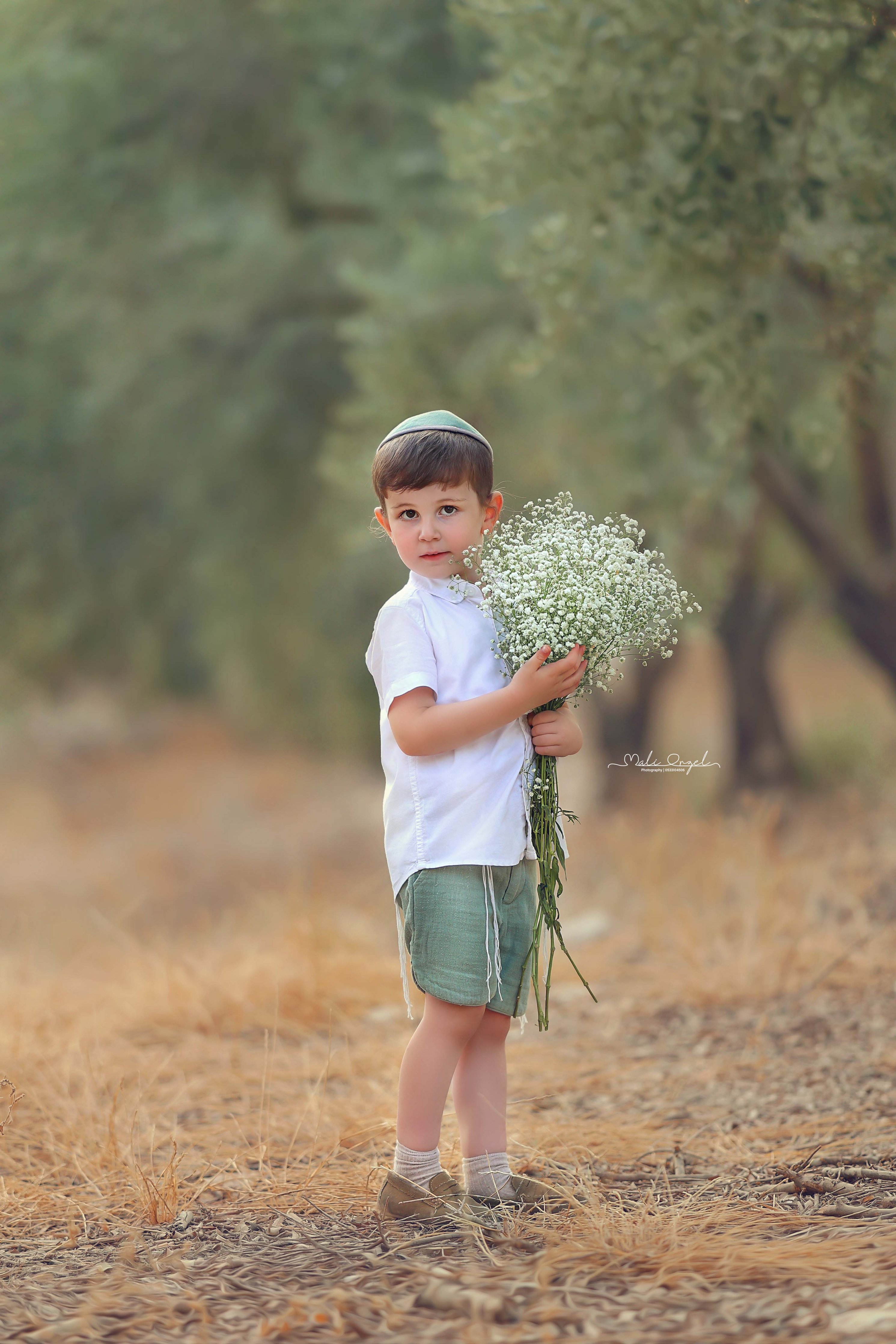 צילום מלי0533104506