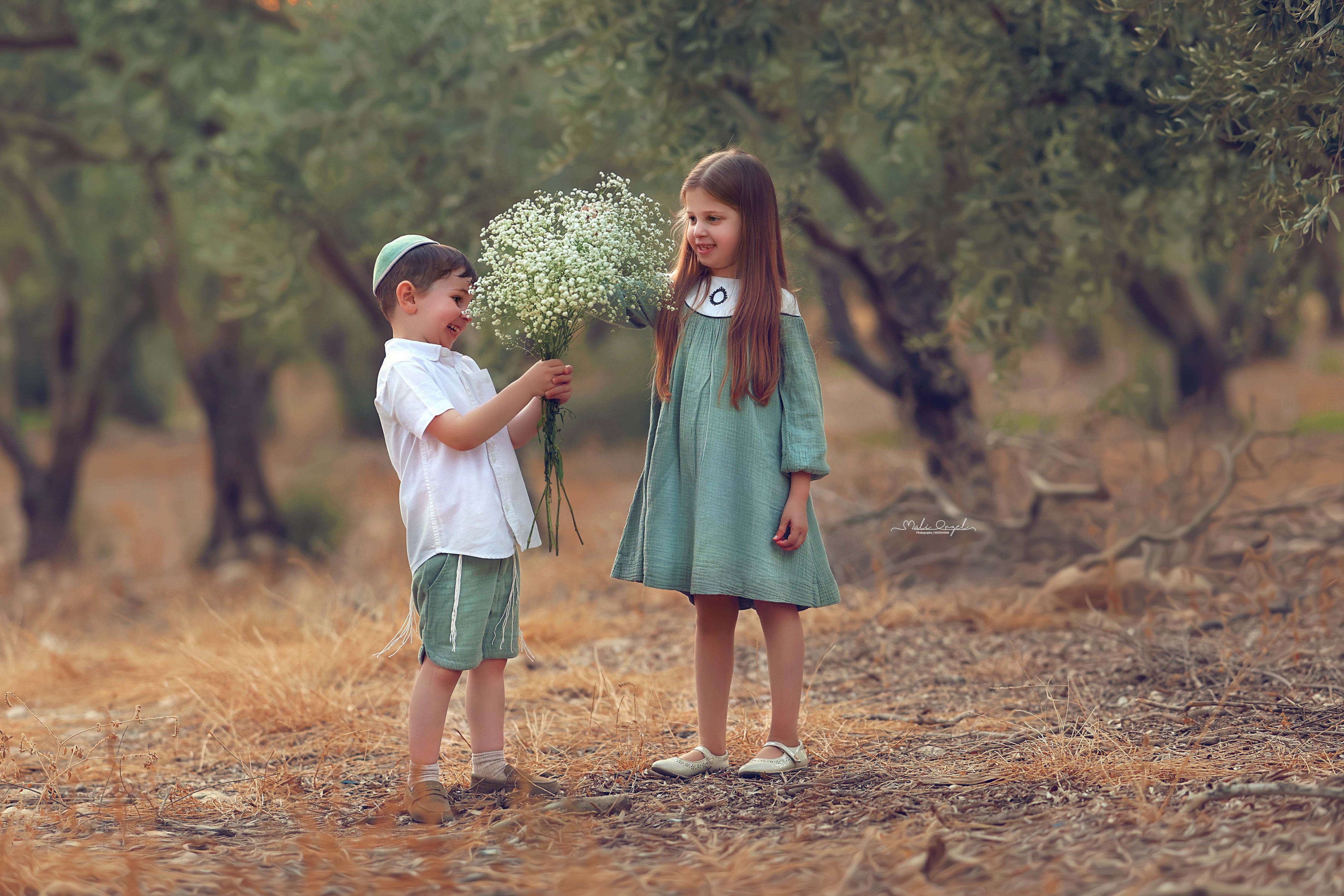 צילום מלי0533104506