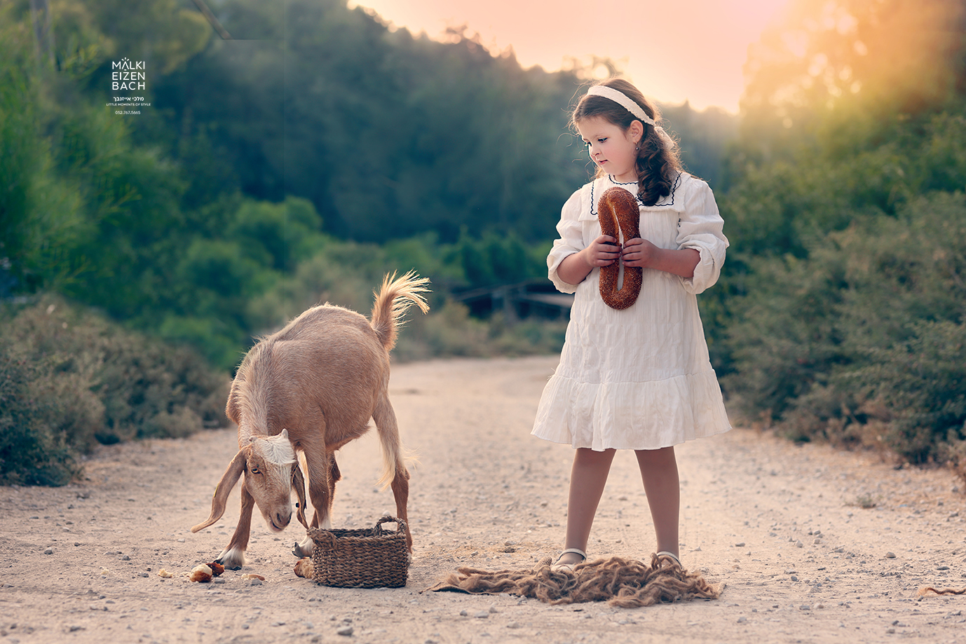 צילום מלכי אייזנבך -0527675665  (6).JPG