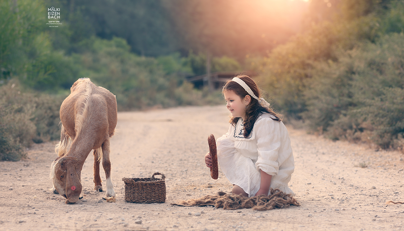 צילום מלכי אייזנבך -0527675665  (7).JPG