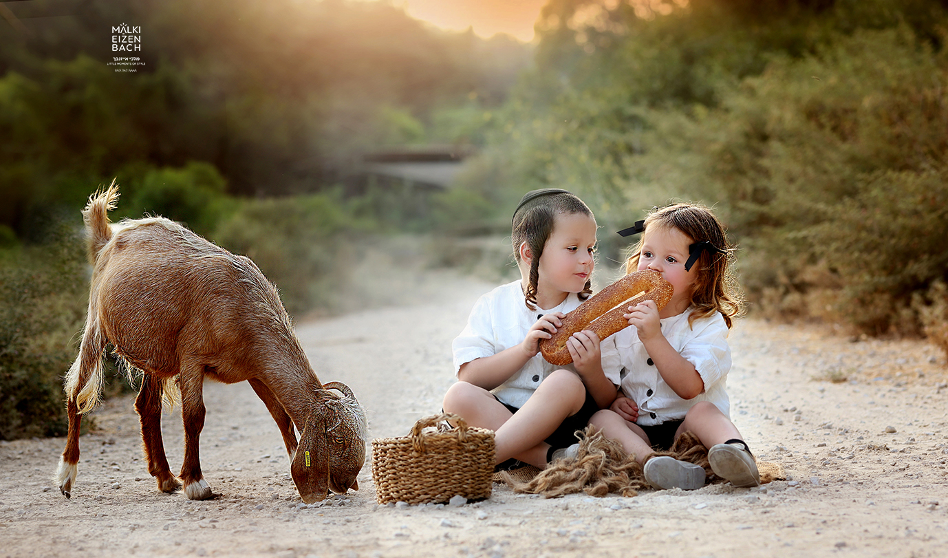 צילום מלכי אייזנבך -0527675665  (8).JPG