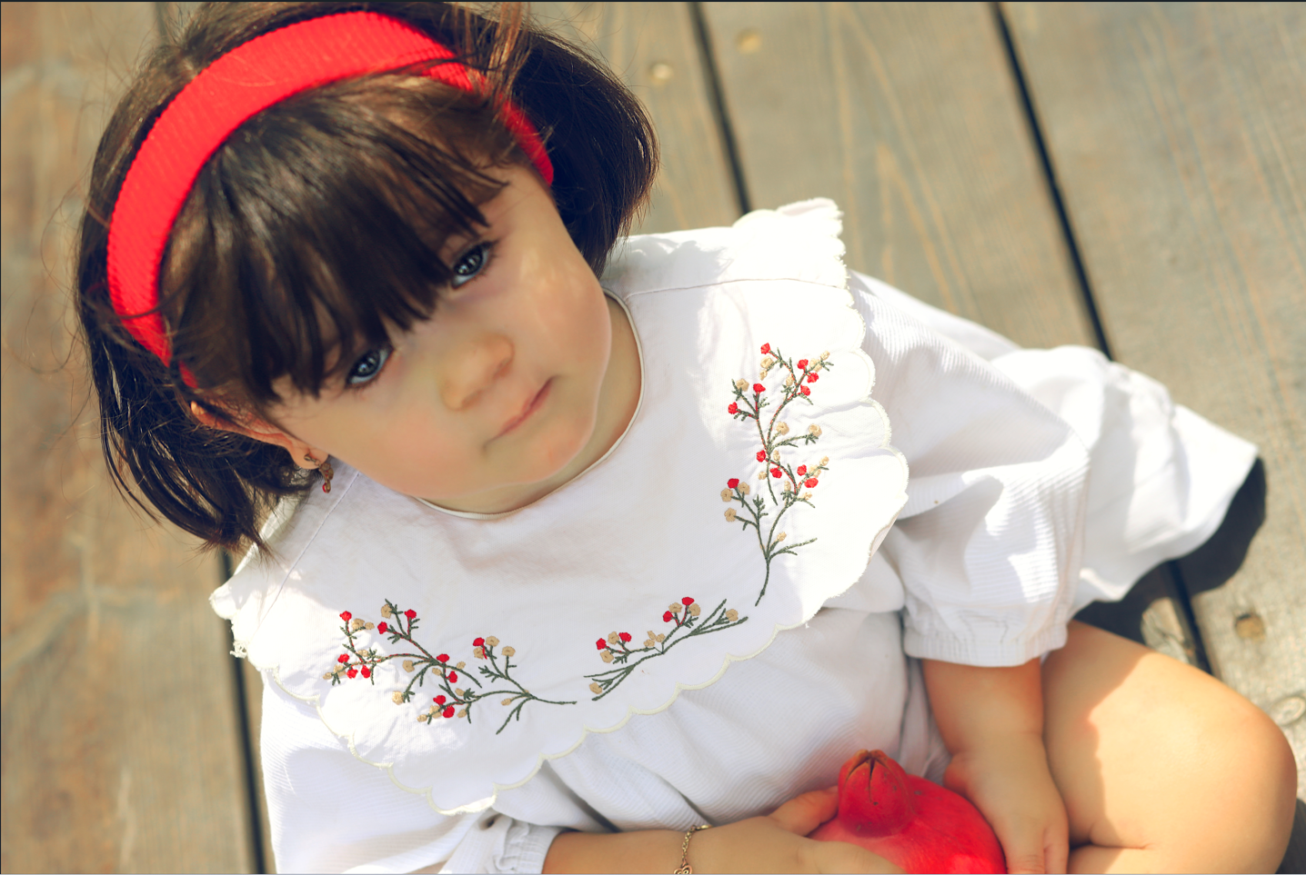 צילום מסך 2023-08-