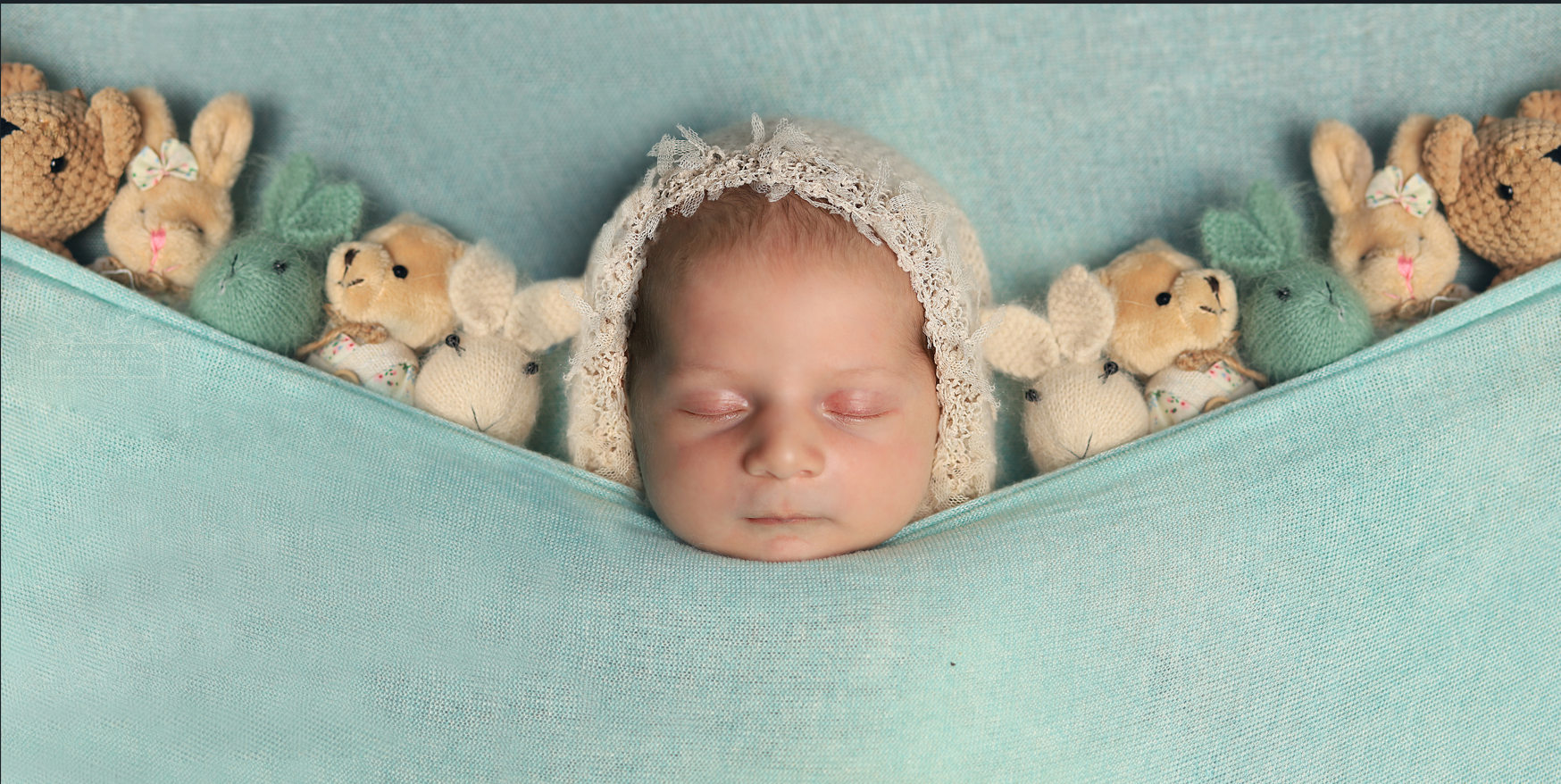 צילום מסך 2023-11-14 104411.png