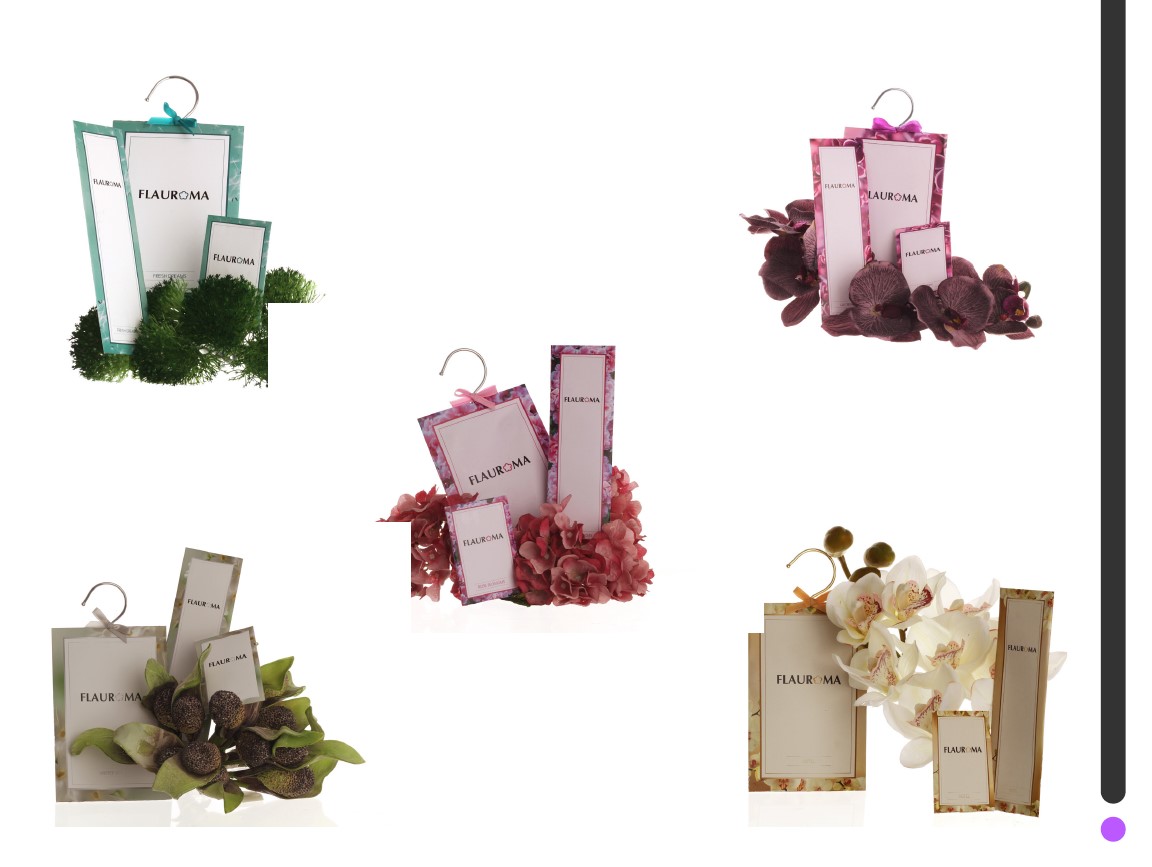 צילום מסך 2024-02-12 124332.jpg