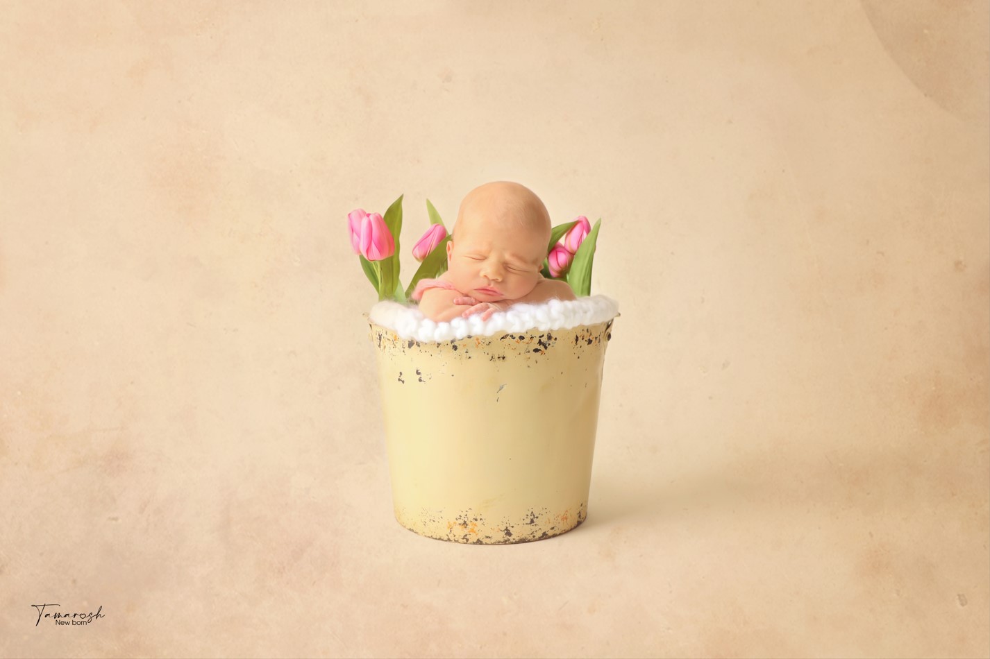 צילום מסך 2024-03-14 195017.jpg