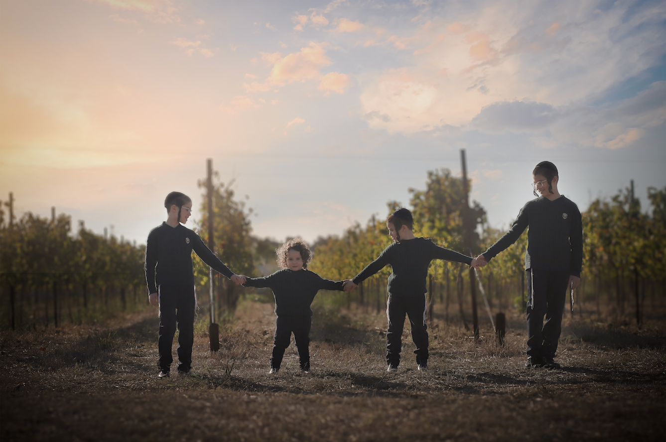 צילום מסך 2024.05.06 ב.19.41.58.png