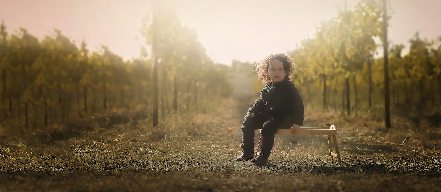 צילום מסך 2024.05.06 ב.19.42.08.png