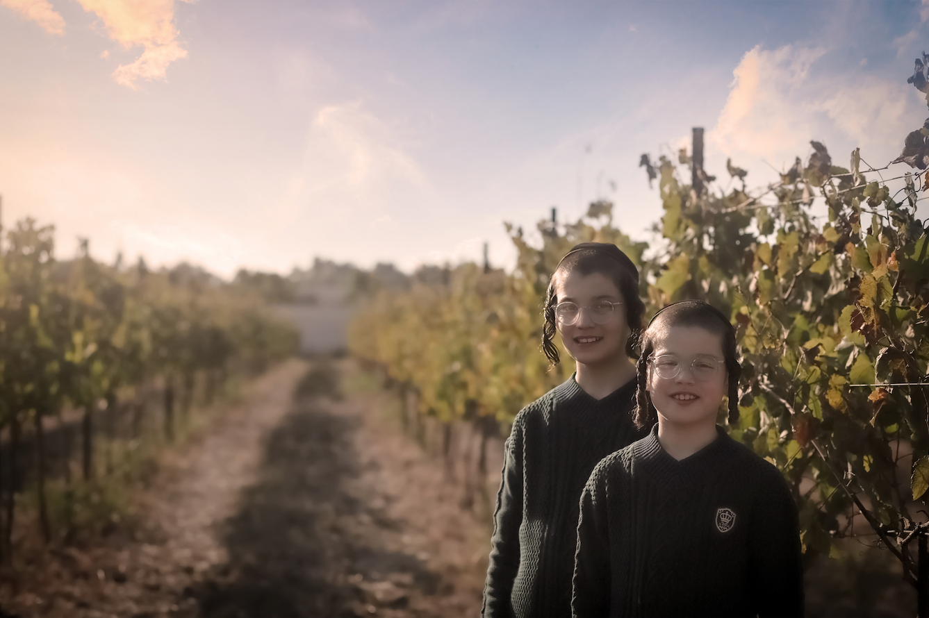 צילום מסך 2024.05.06 ב.19.42.21.png