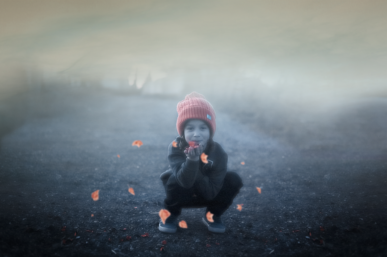 צילום מסך 2024.05.06 ב.19.42.38.png