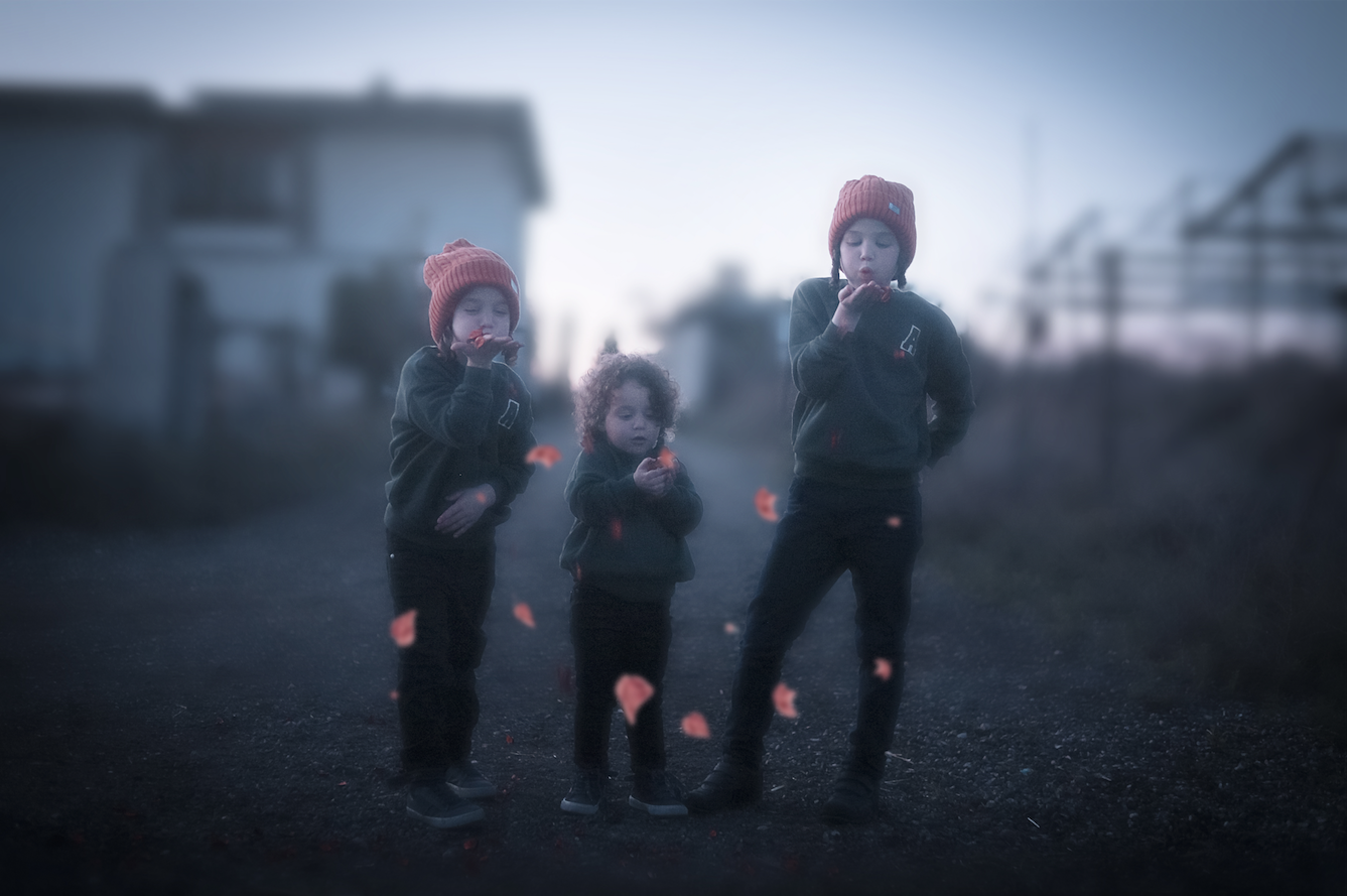 צילום מסך 2024.05.06 ב.19.42.48.png