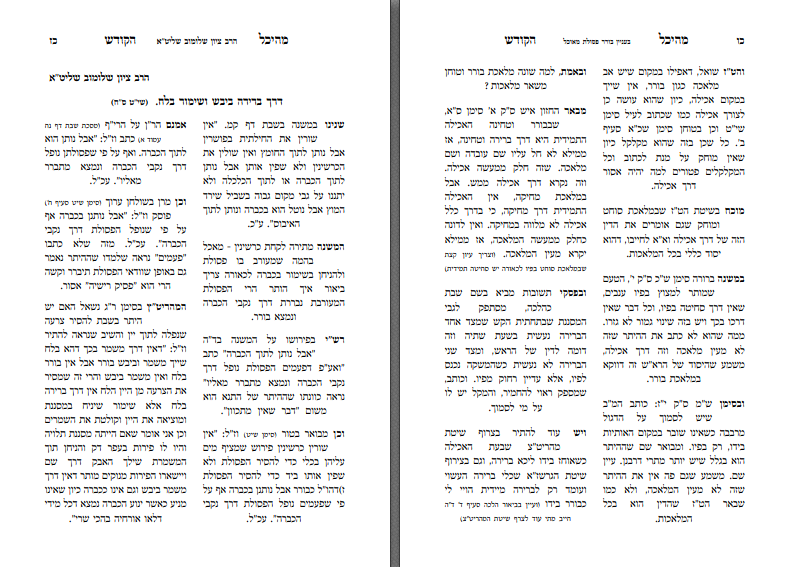 צילום מסך 2025-03-18 215328.png