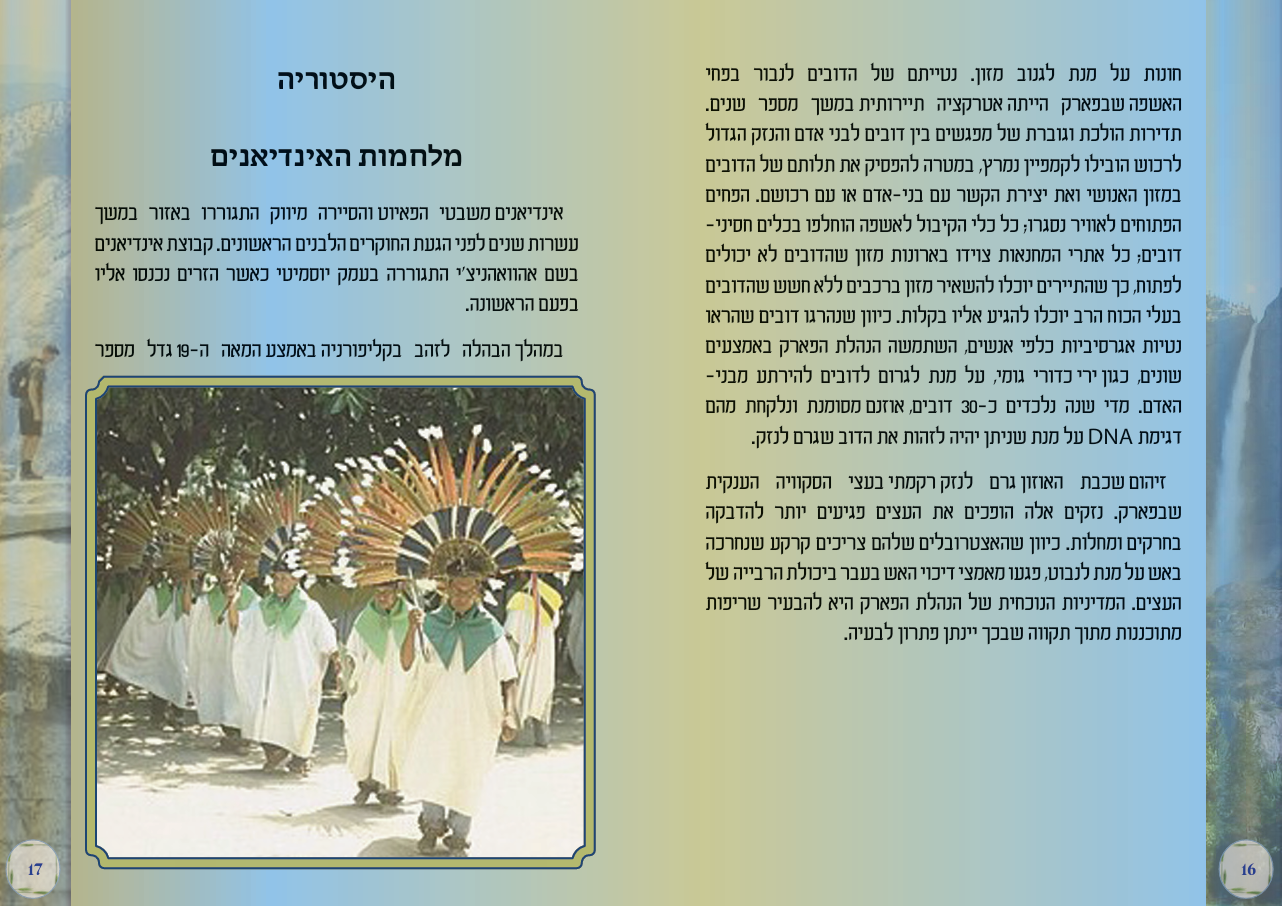 צילום מסך 2025-05-29 213829.png