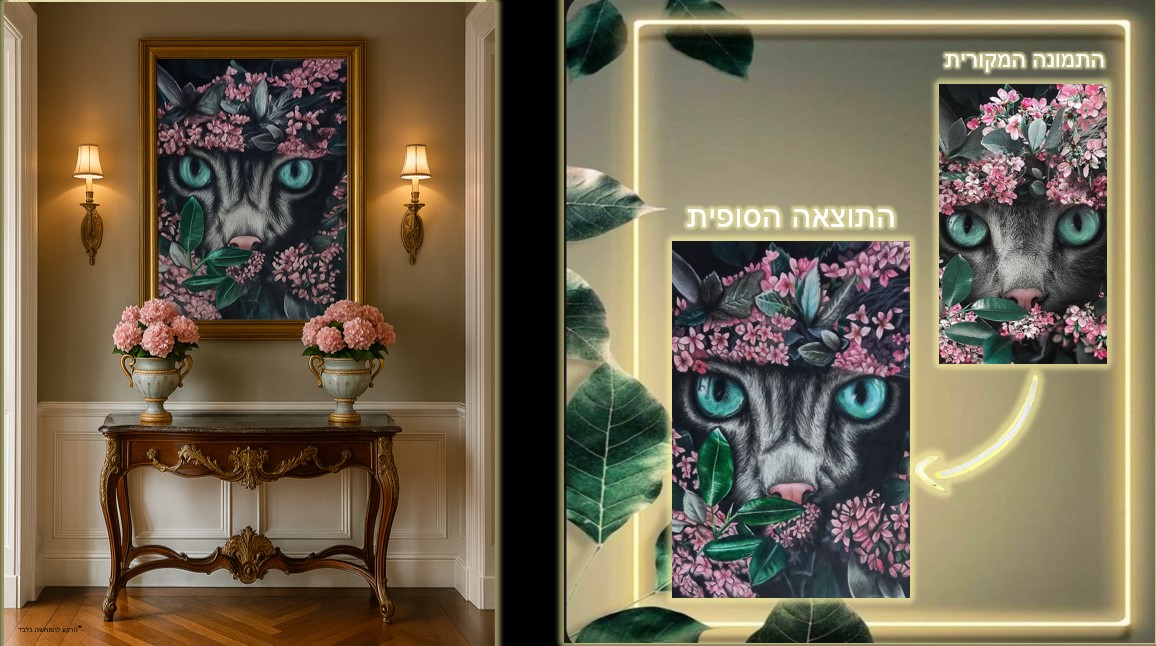 צילום מסך 2025-11-13 184911.jpg