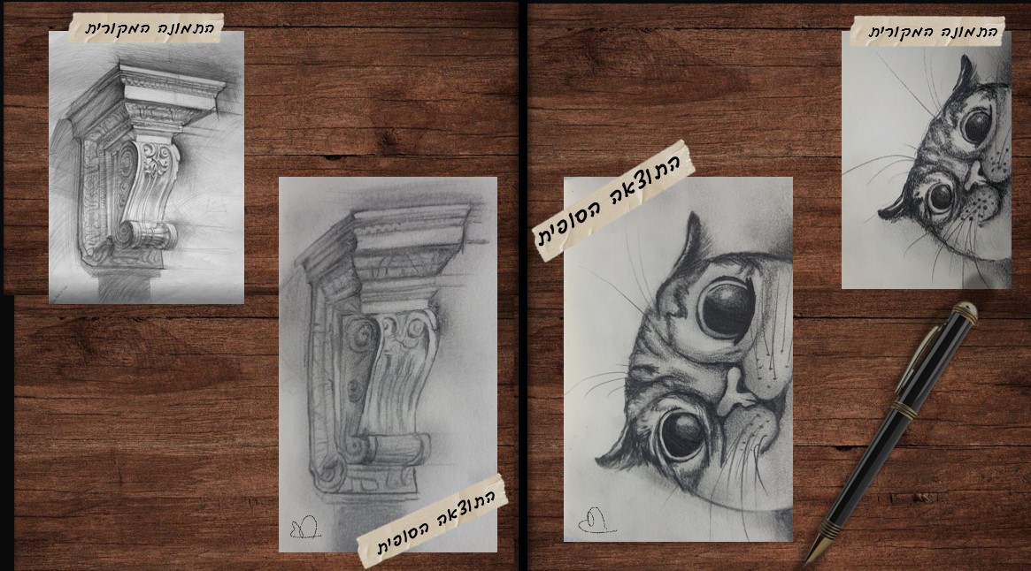 צילום מסך 2025-11-19 004015.jpg