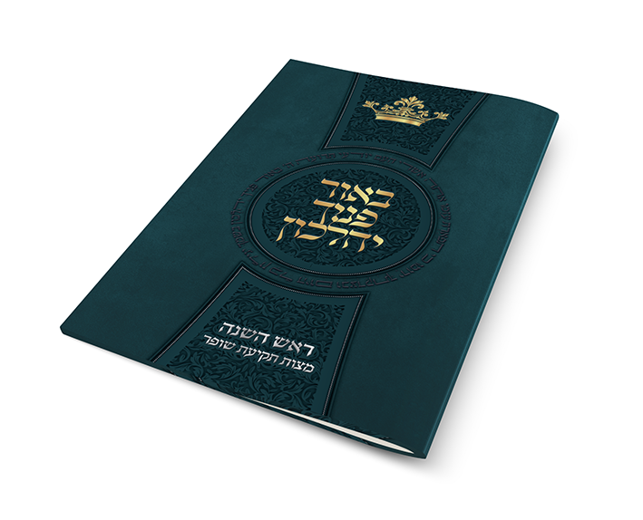 צילום מסך 5776‏.13‏.26 ב‏.20.19.31