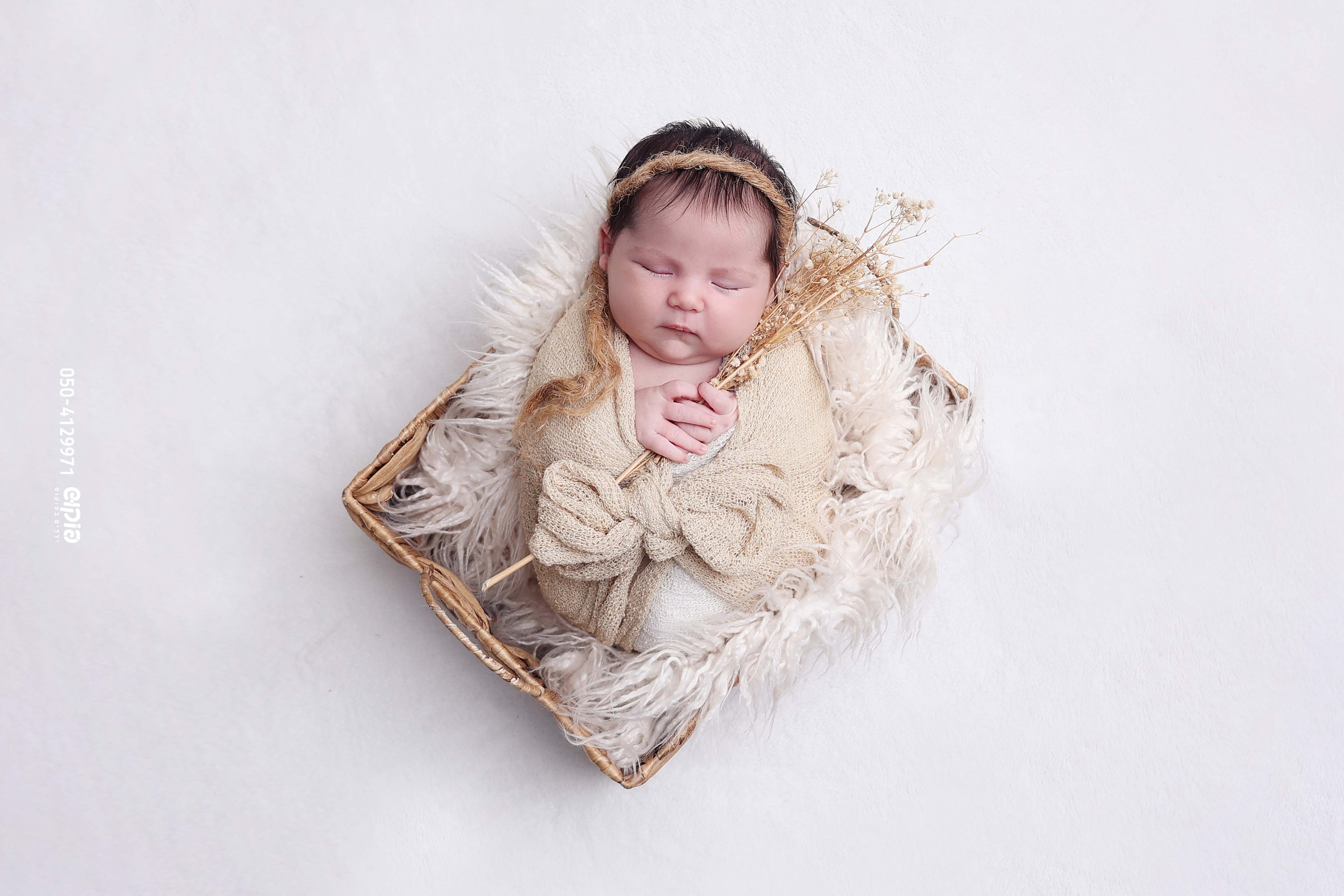 צילום מקצועי ניו בורן 0504129971 שושי פוקוש  (8).jpg