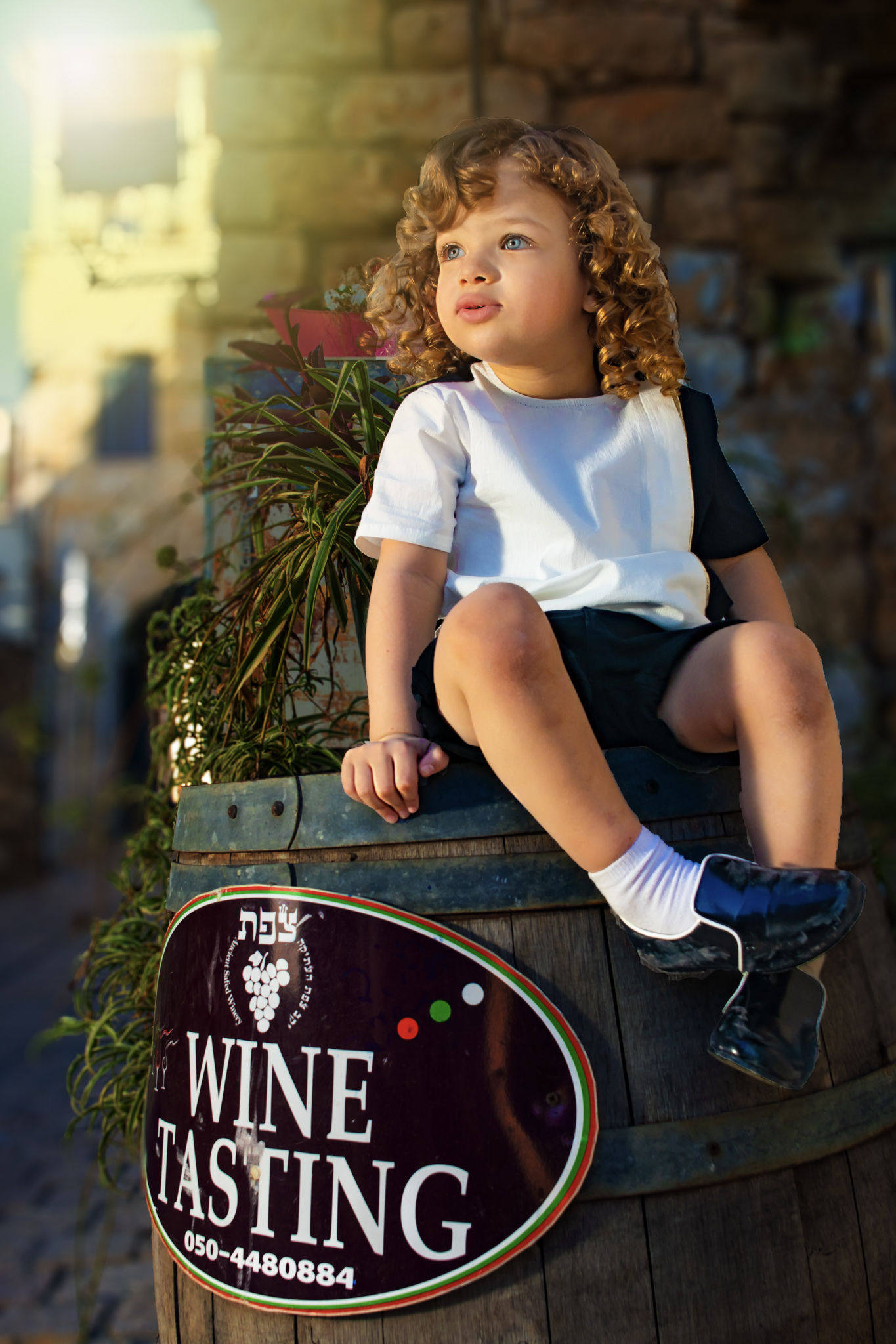 צילום מקצועי