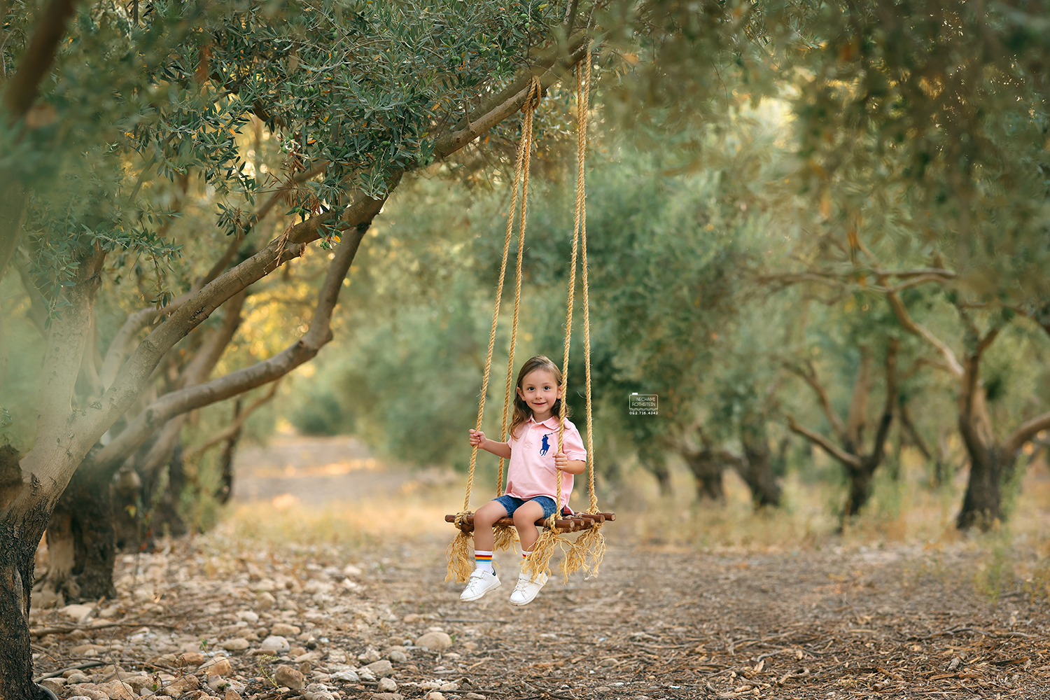 צילום נחמי רוטשטיין 0527164343 (1).jpg