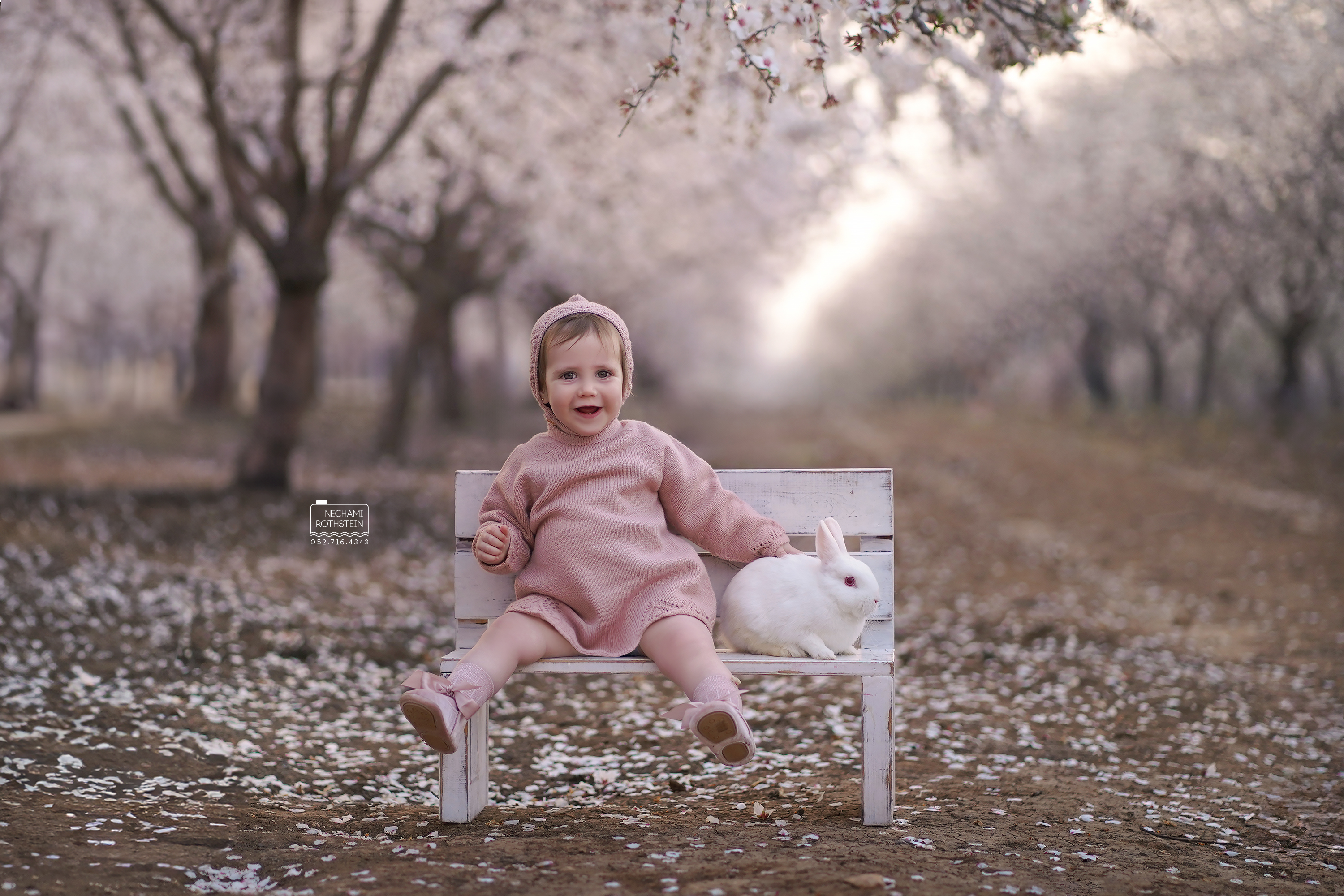 צילום נחמי רוטשטיין 0527164343 (1).jpg