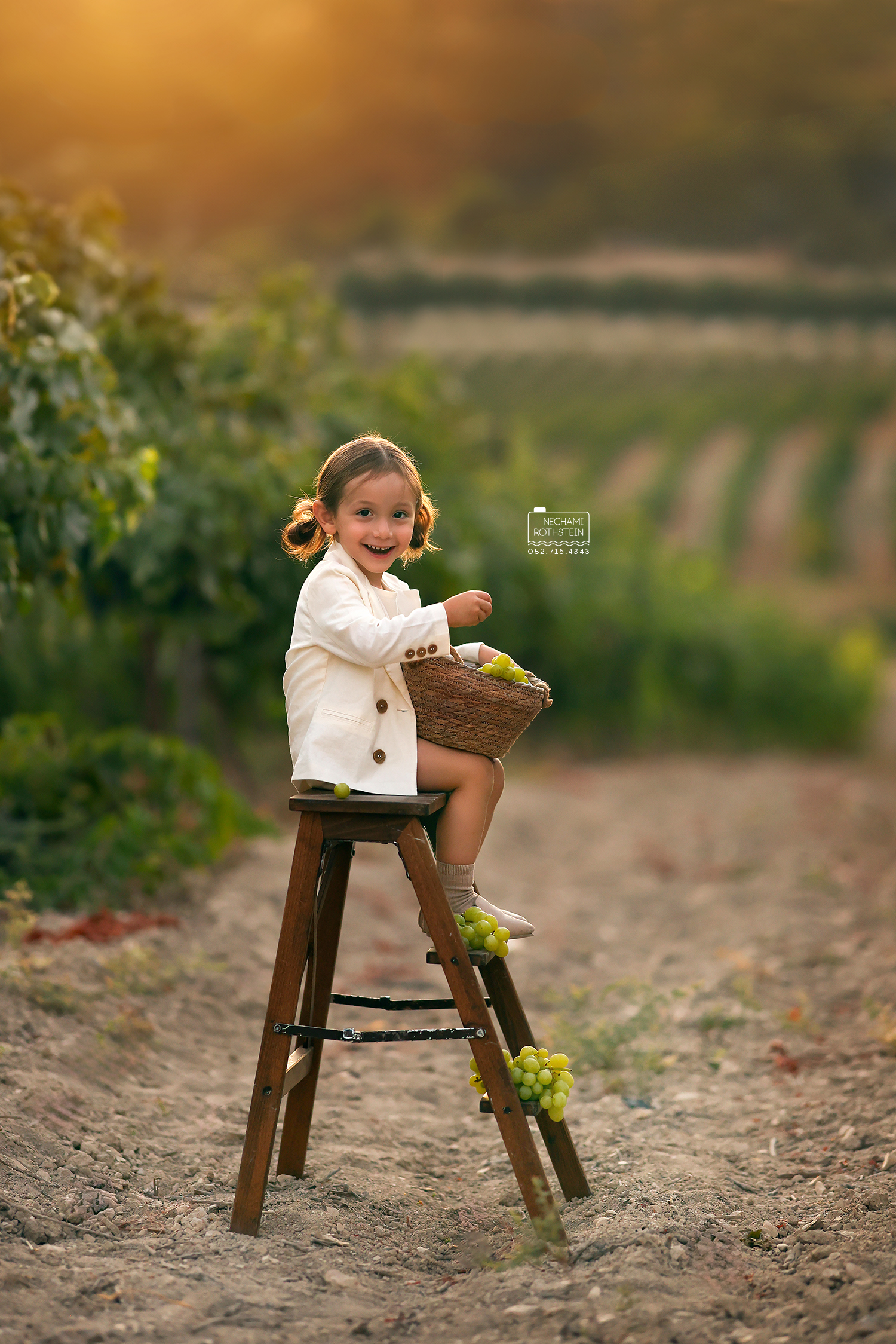 צילום נחמי רוטשטיין 0527164343 (10).jpg