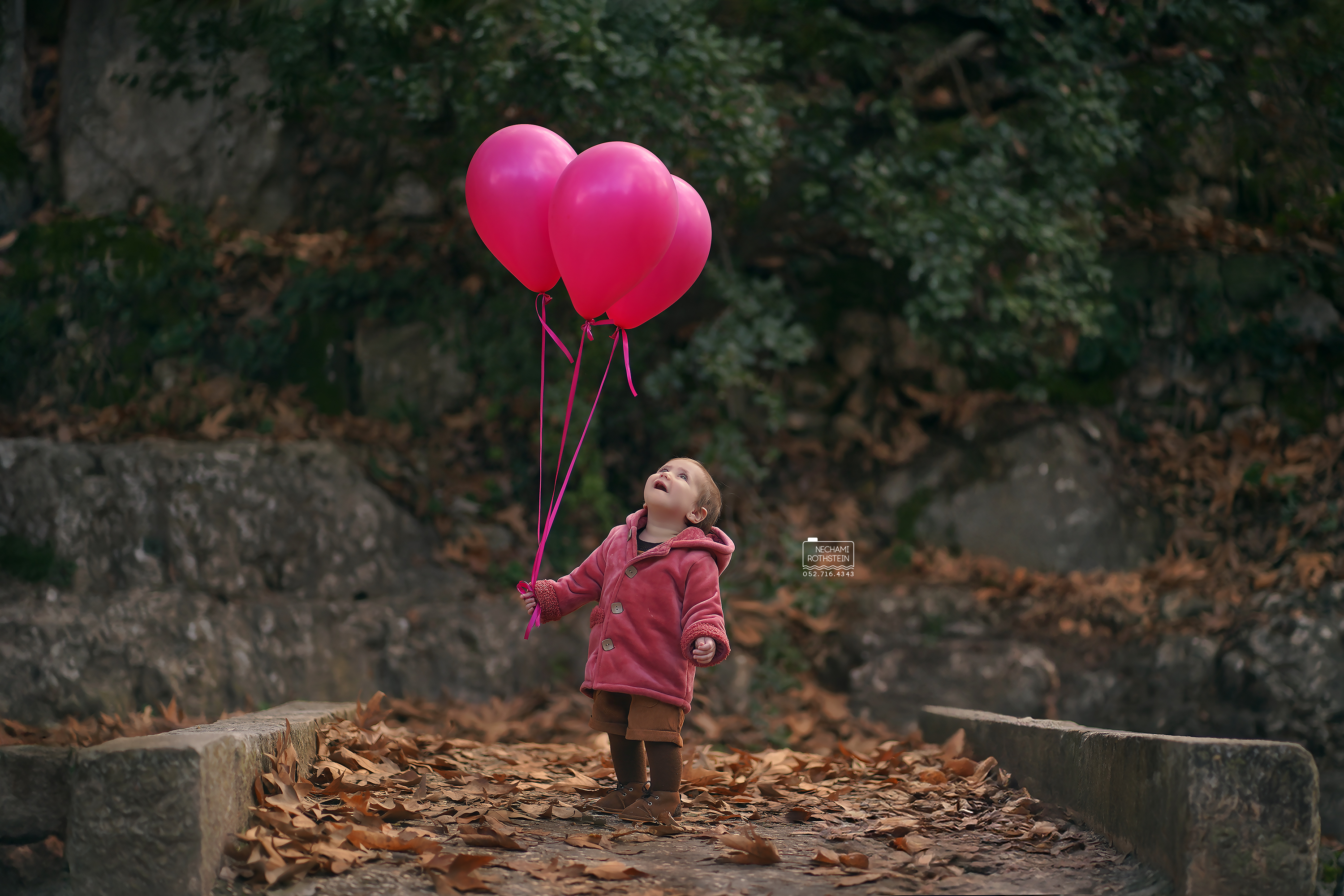 צילום נחמי רוטשטיין 0527164343 (10).jpg