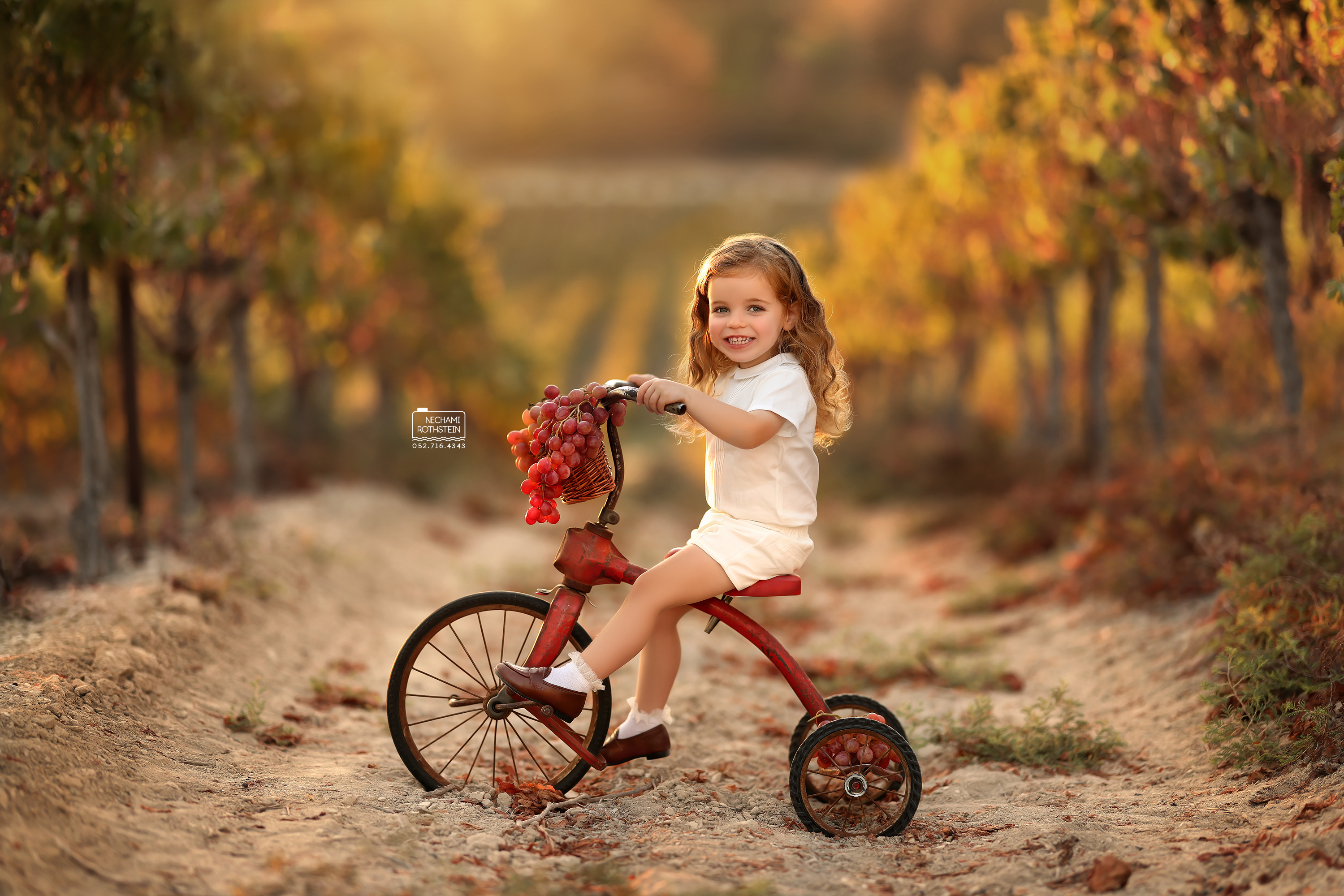 צילום נחמי רוטשטיין 0527164343 (10).jpg