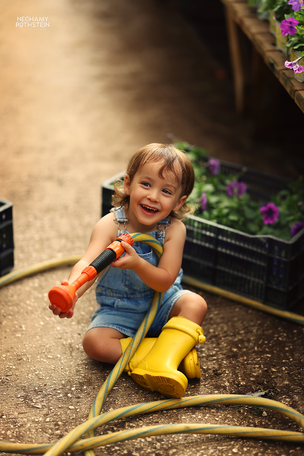 צילום נחמי רוטשטיין 0527164343 (10).jpg