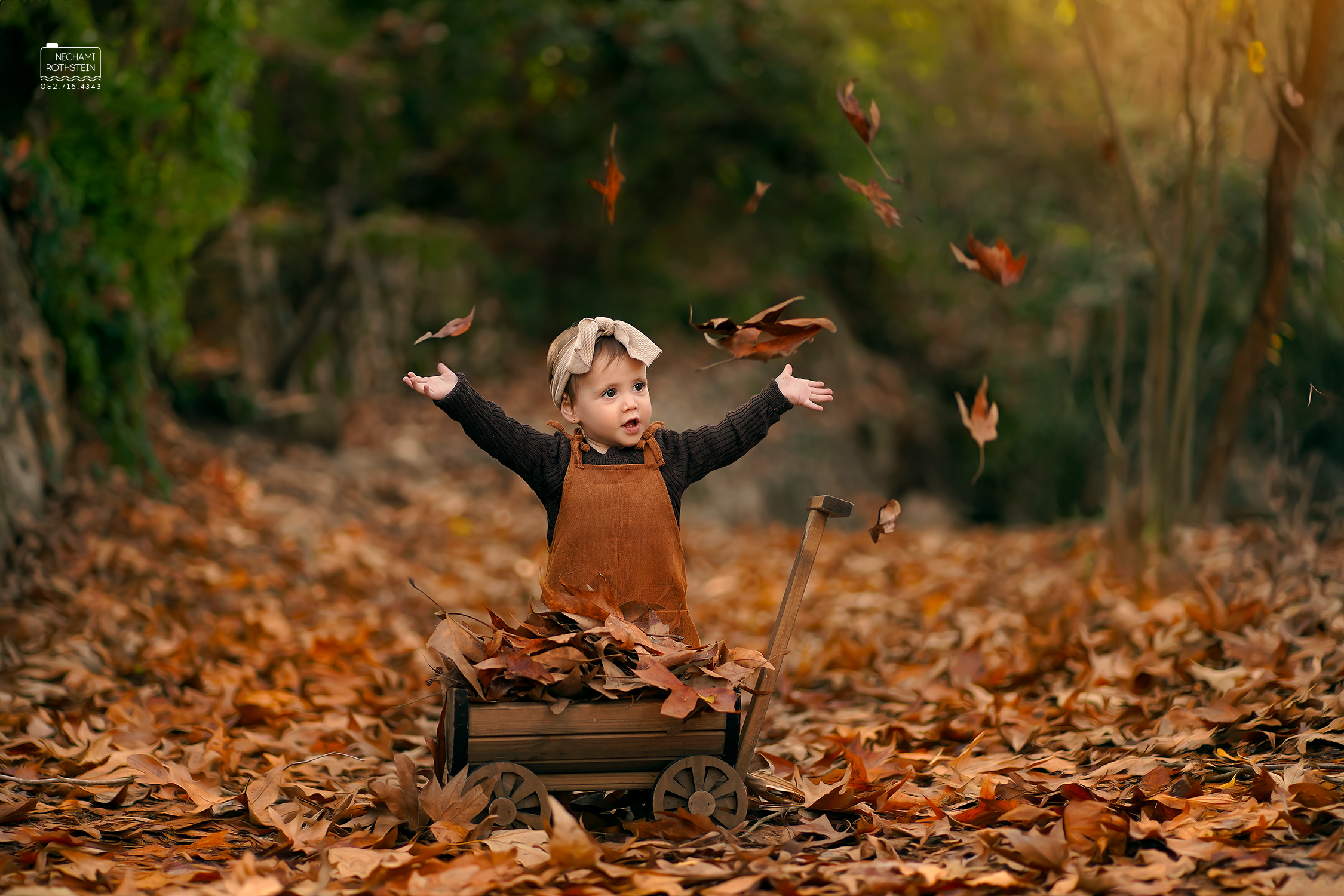 צילום נחמי רוטשטיין 0527164343 (11).jpg