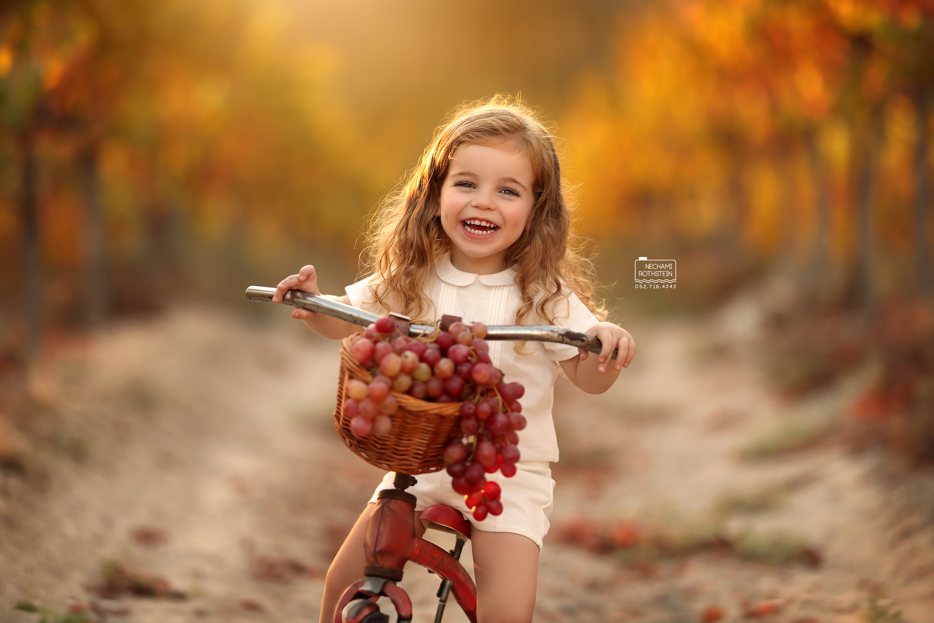 צילום נחמי רוטשטיין 0527164343 (11).jpg