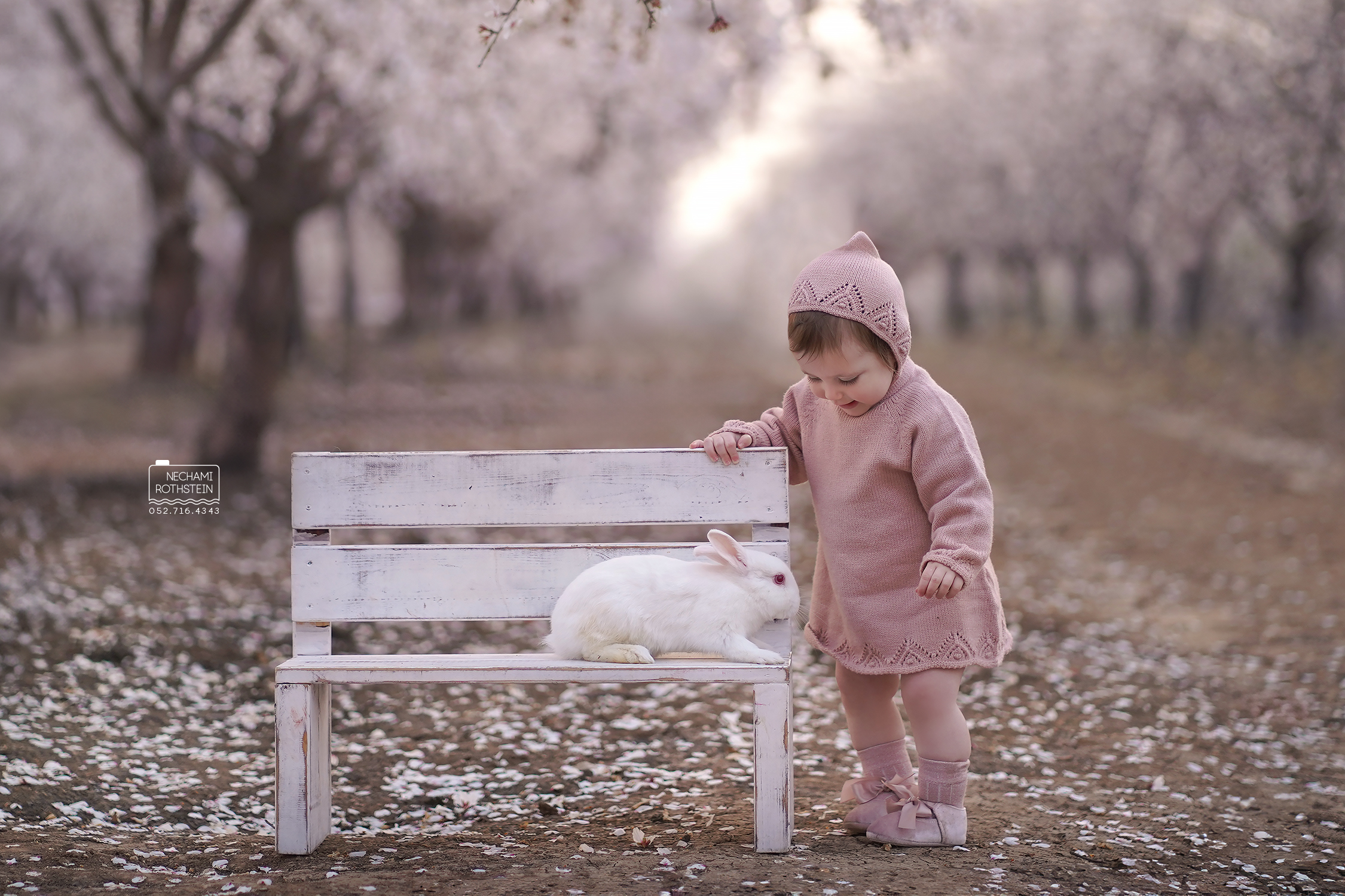 צילום נחמי רוטשטיין 0527164343 (13).jpg