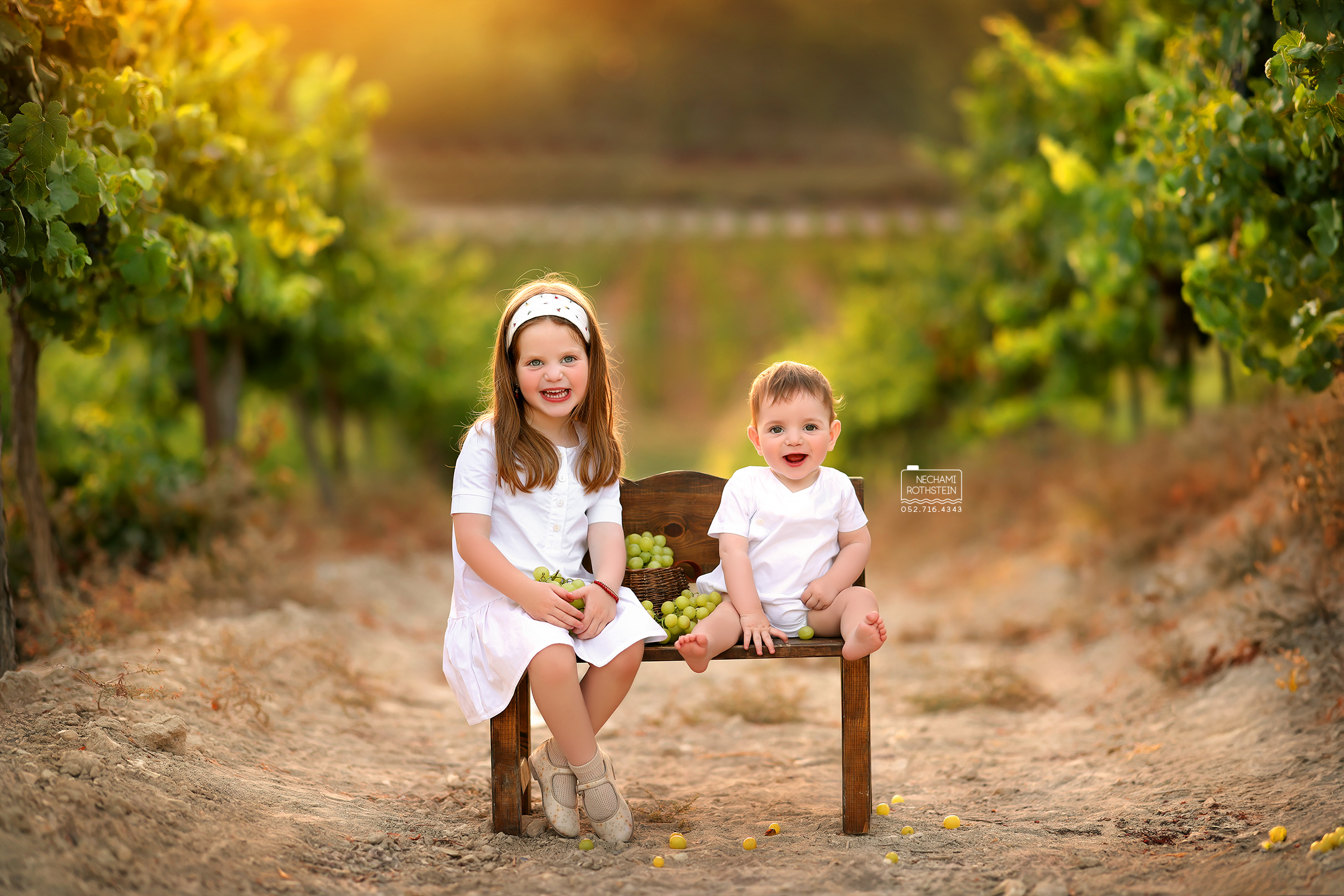 צילום נחמי רוטשטיין 0527164343 (13).jpg