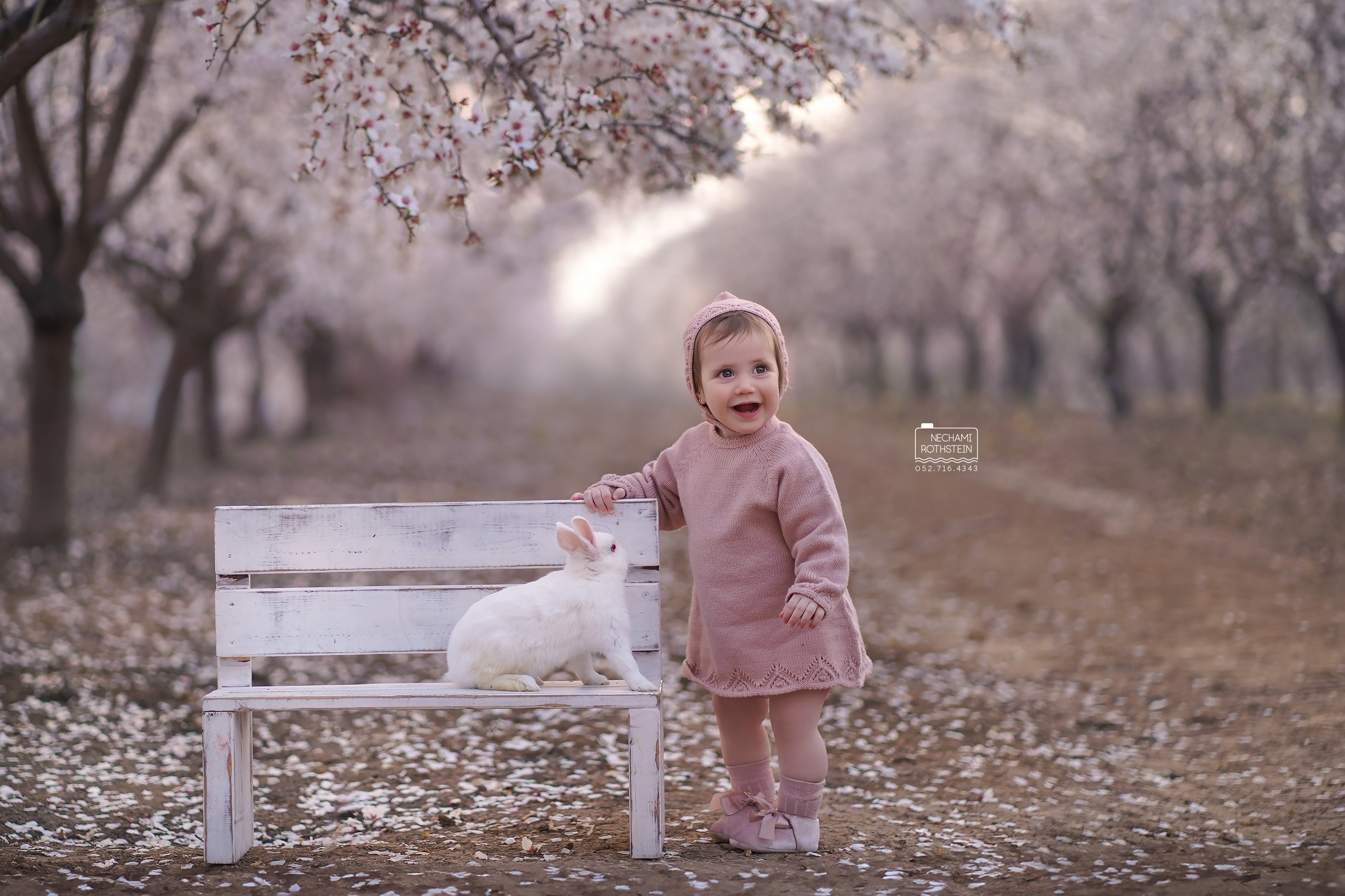 צילום נחמי רוטשטיין 0527164343 (14).jpg