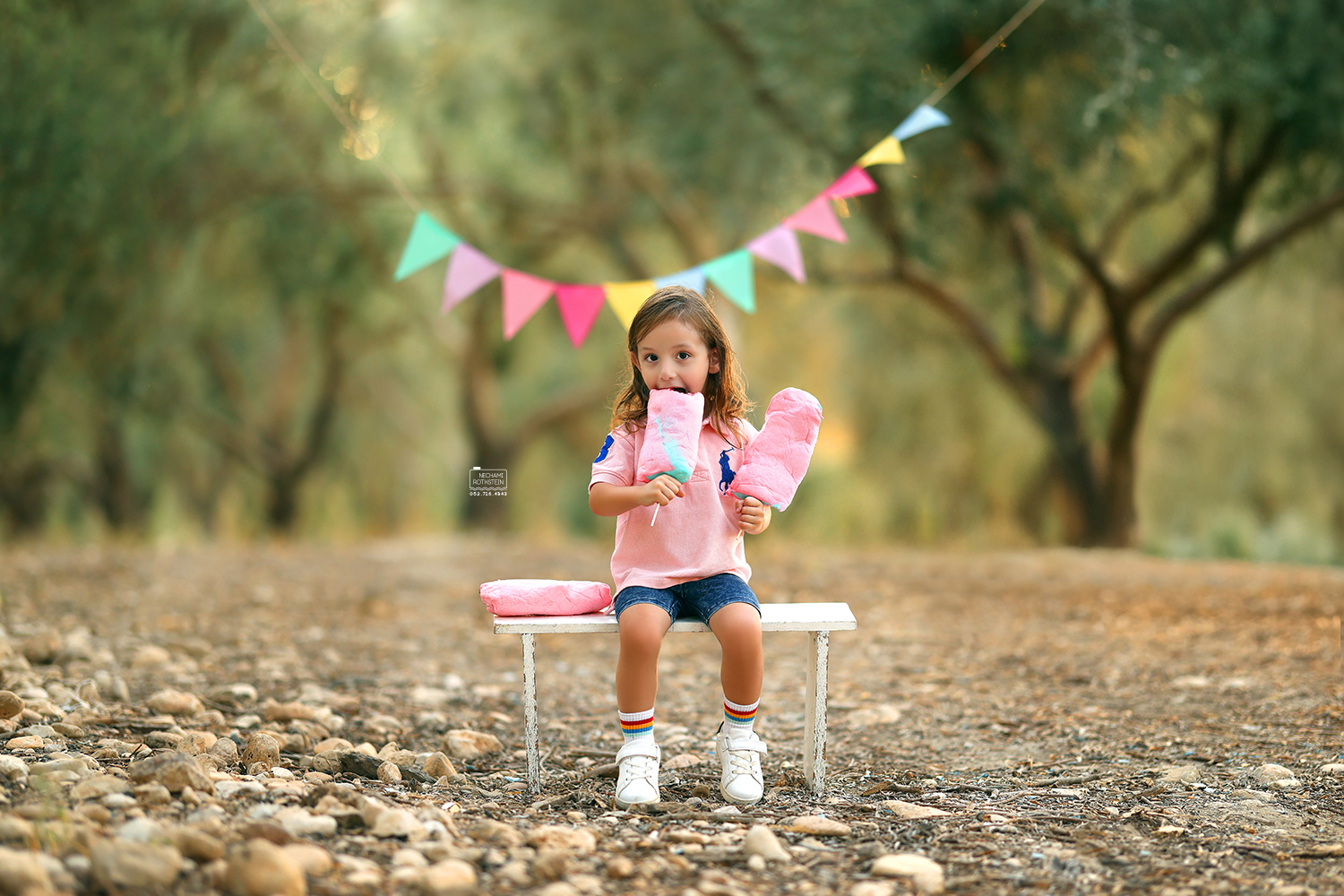 צילום נחמי רוטשטיין 0527164343 (2).jpg