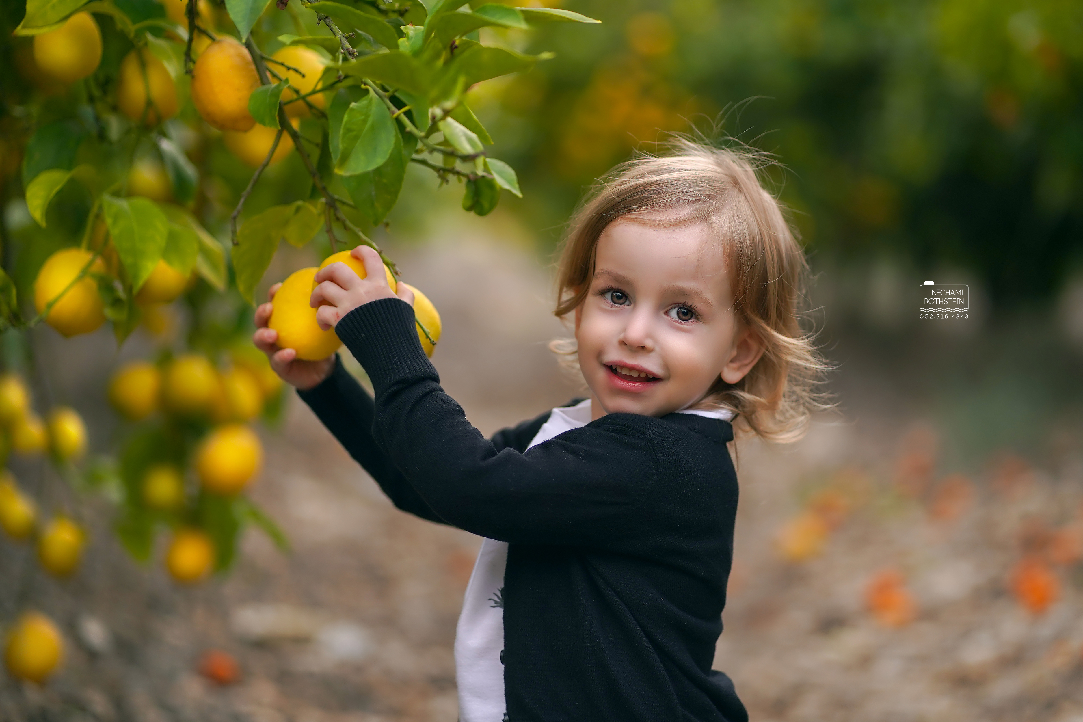 צילום נחמי רוטשטיין 0527164343 (2).jpg