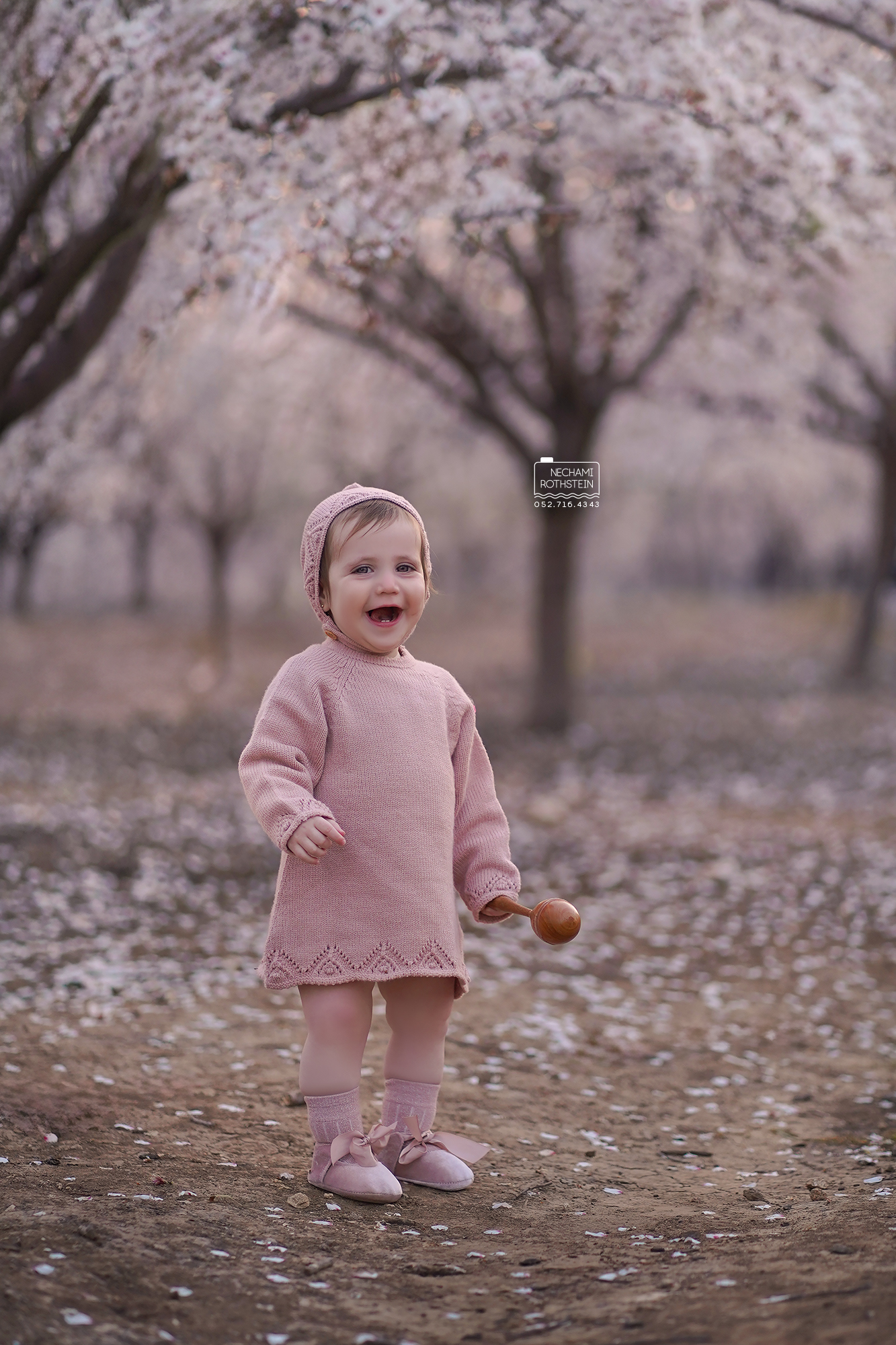 צילום נחמי רוטשטיין 0527164343 (2).jpg