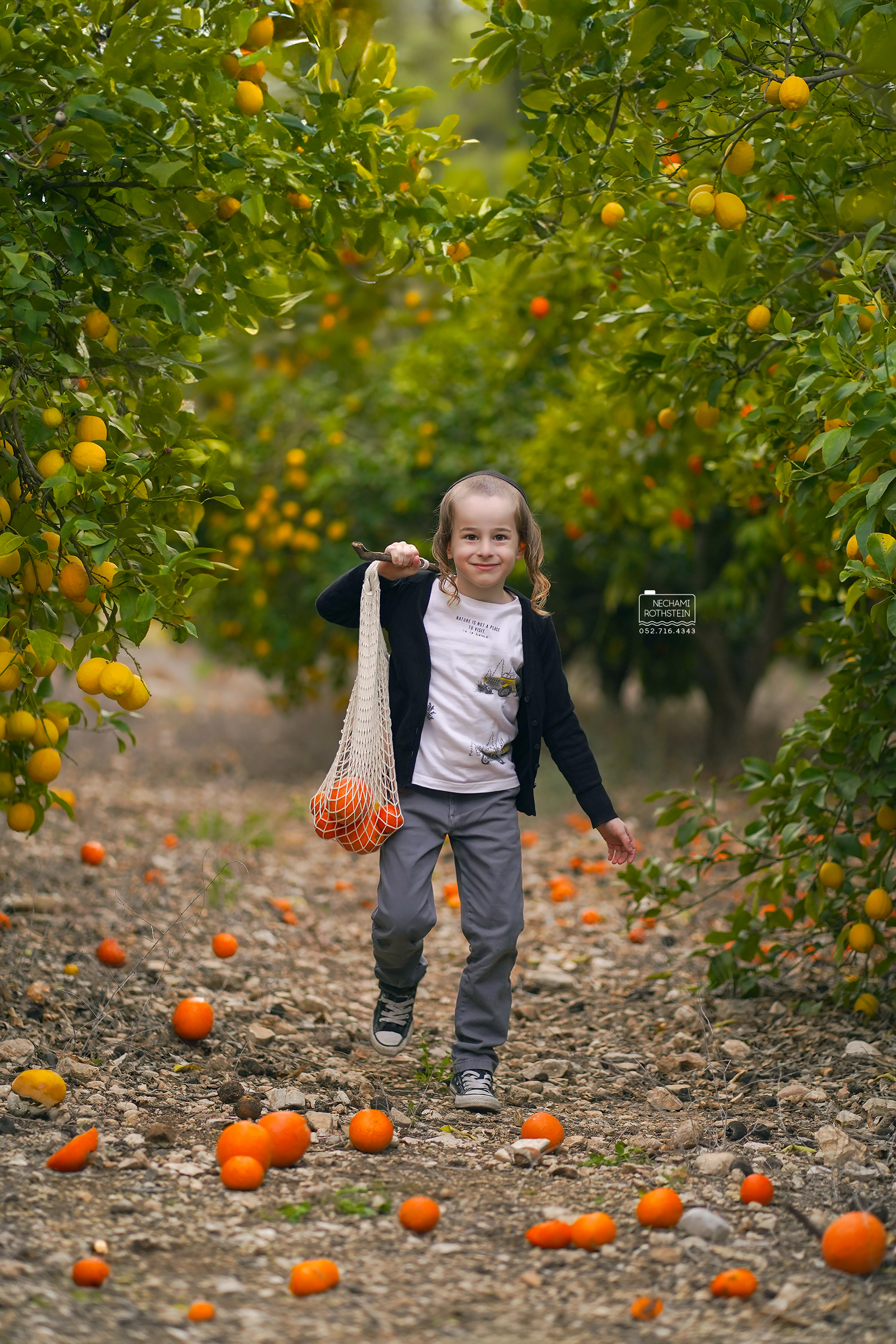 צילום נחמי רוטשטיין 0527164343 (3).jpg