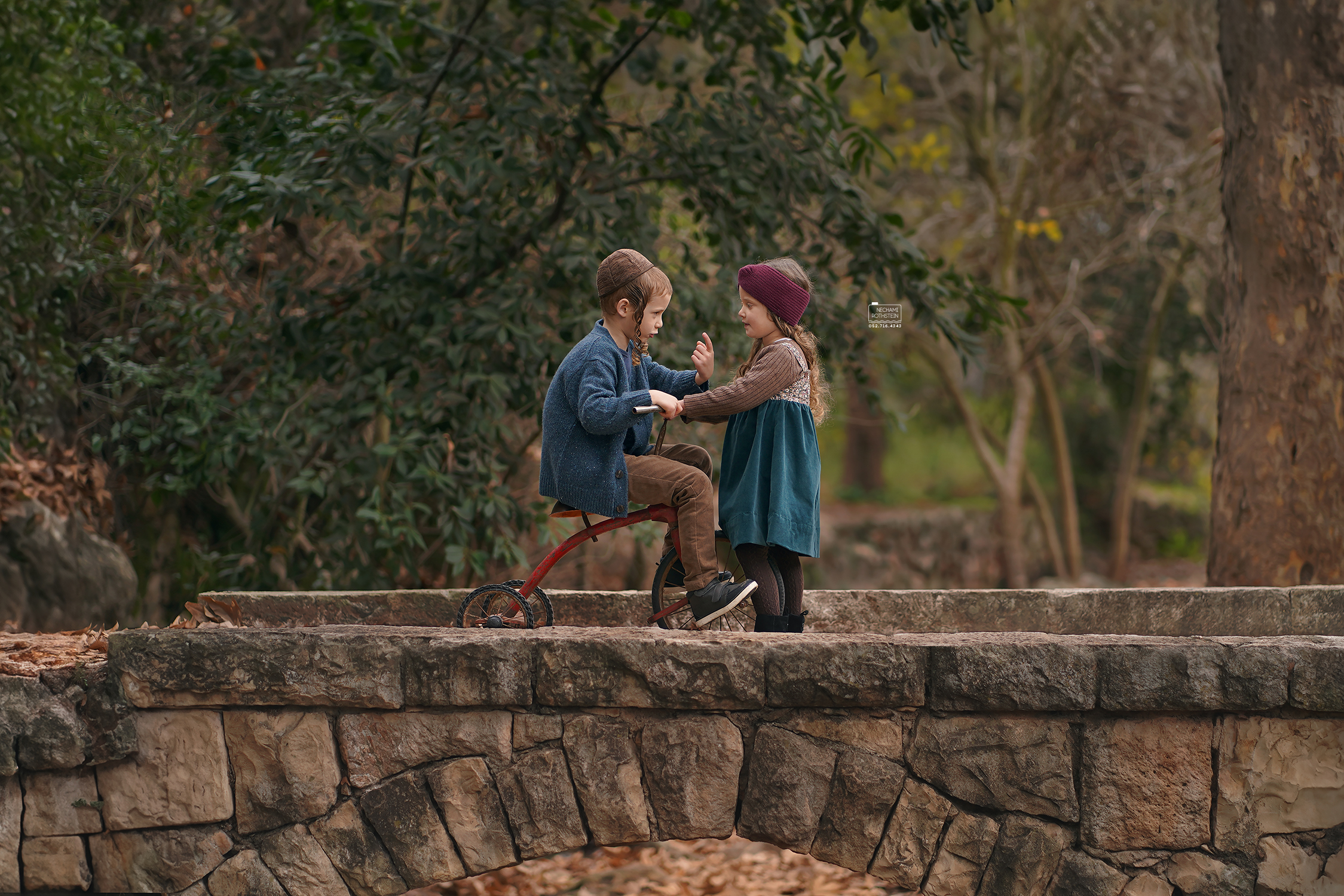 צילום נחמי רוטשטיין 0527164343 (3).jpg