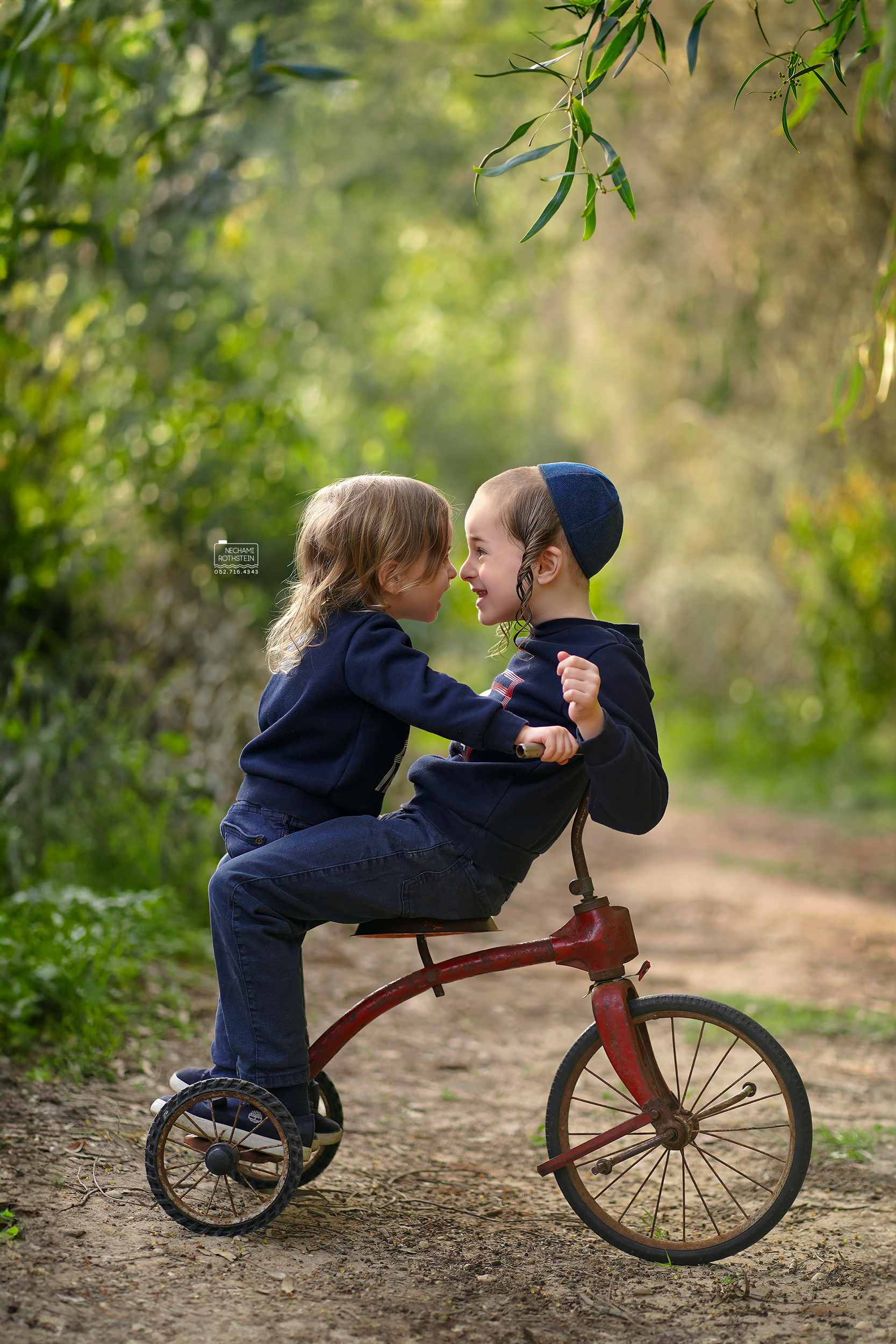 צילום נחמי רוטשטיין 0527164343 (4).jpg