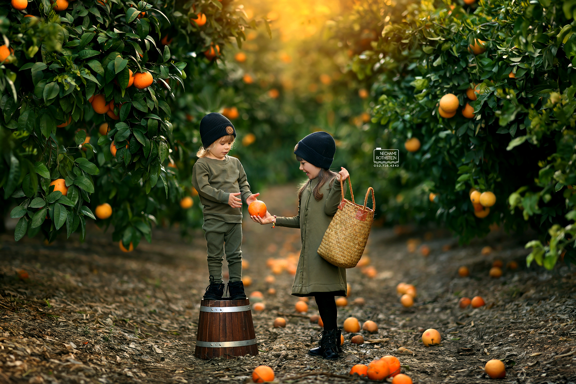 צילום נחמי רוטשטיין 0527164343 (4).jpg