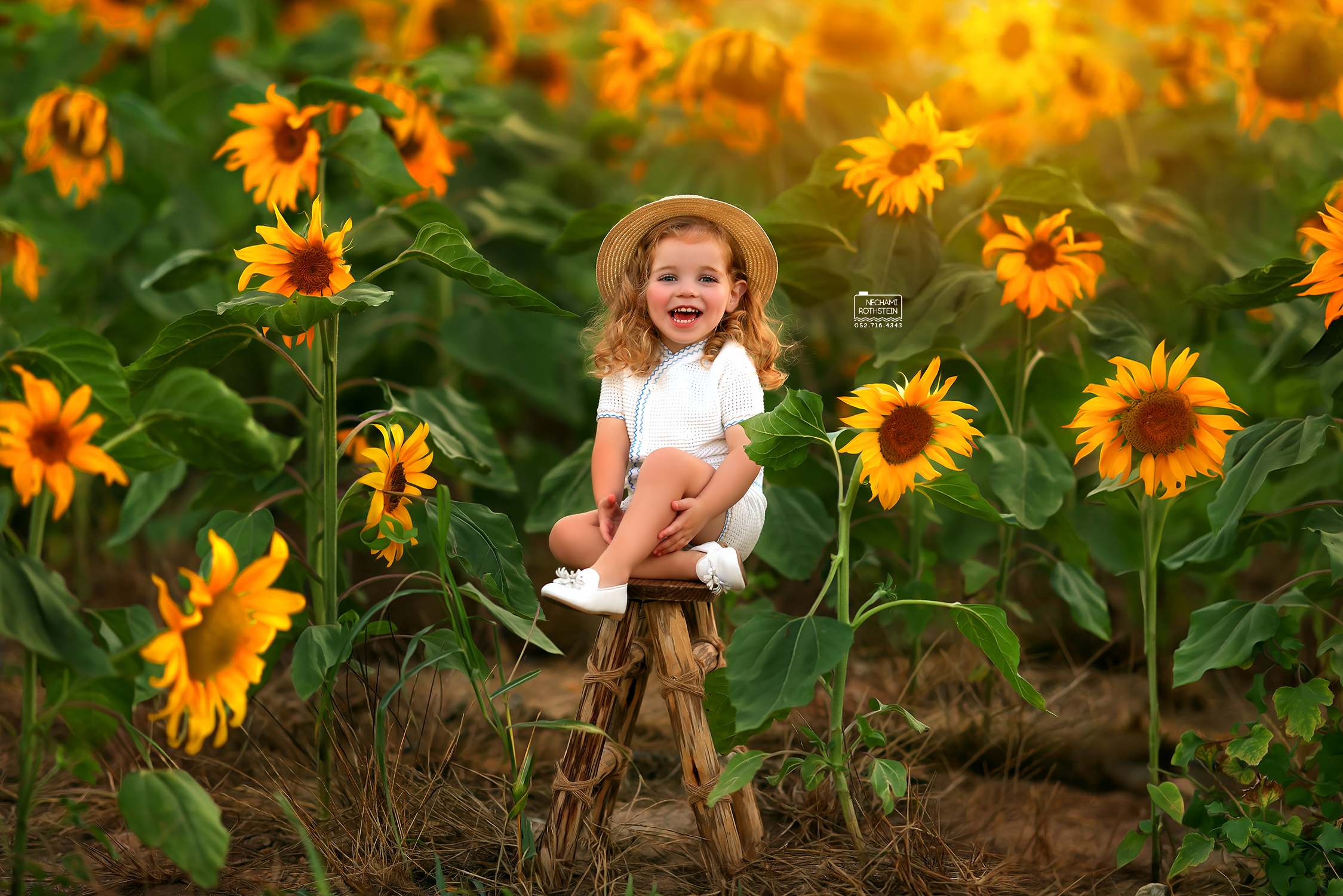 צילום נחמי רוטשטיין 0527164343 (4).jpg