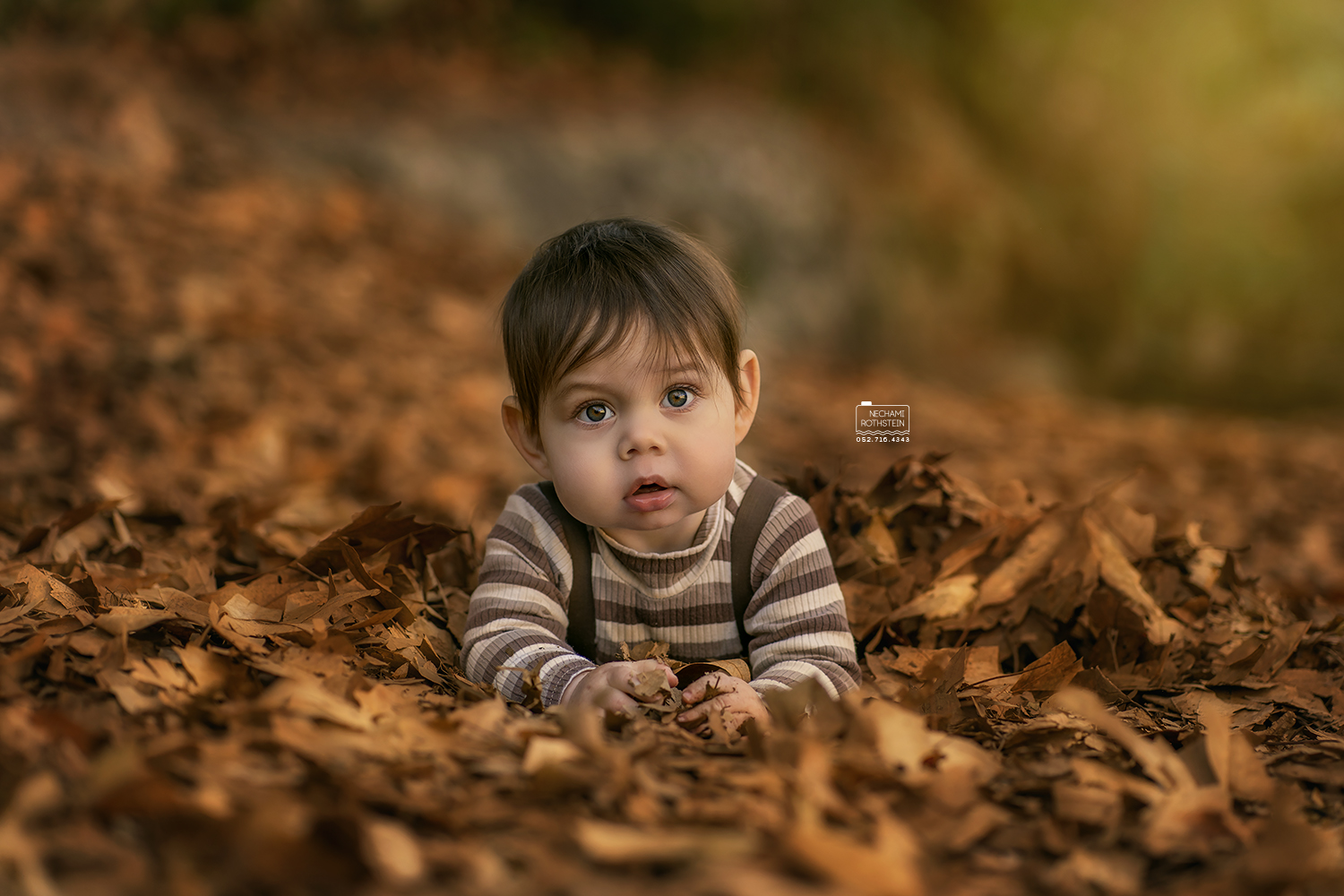 צילום נחמי רוטשטיין 0527164343 (6).jpg